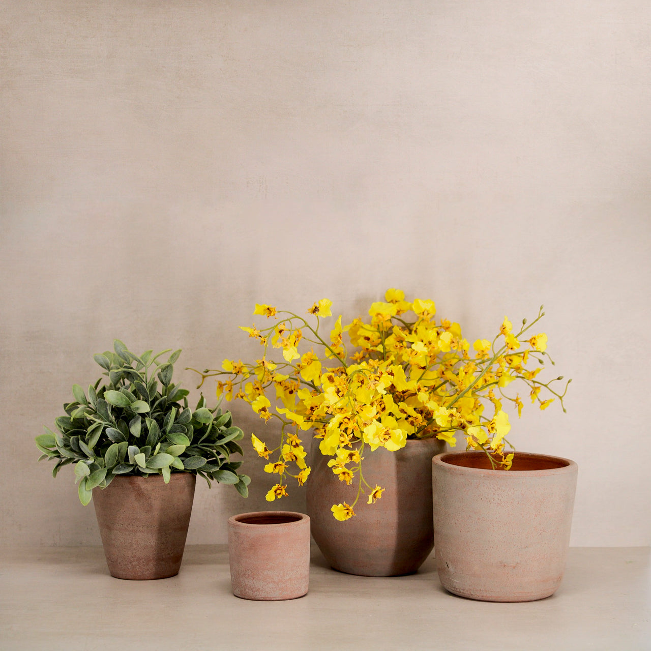 Terracotta indoor plant pots styled on shelf – pots and planters