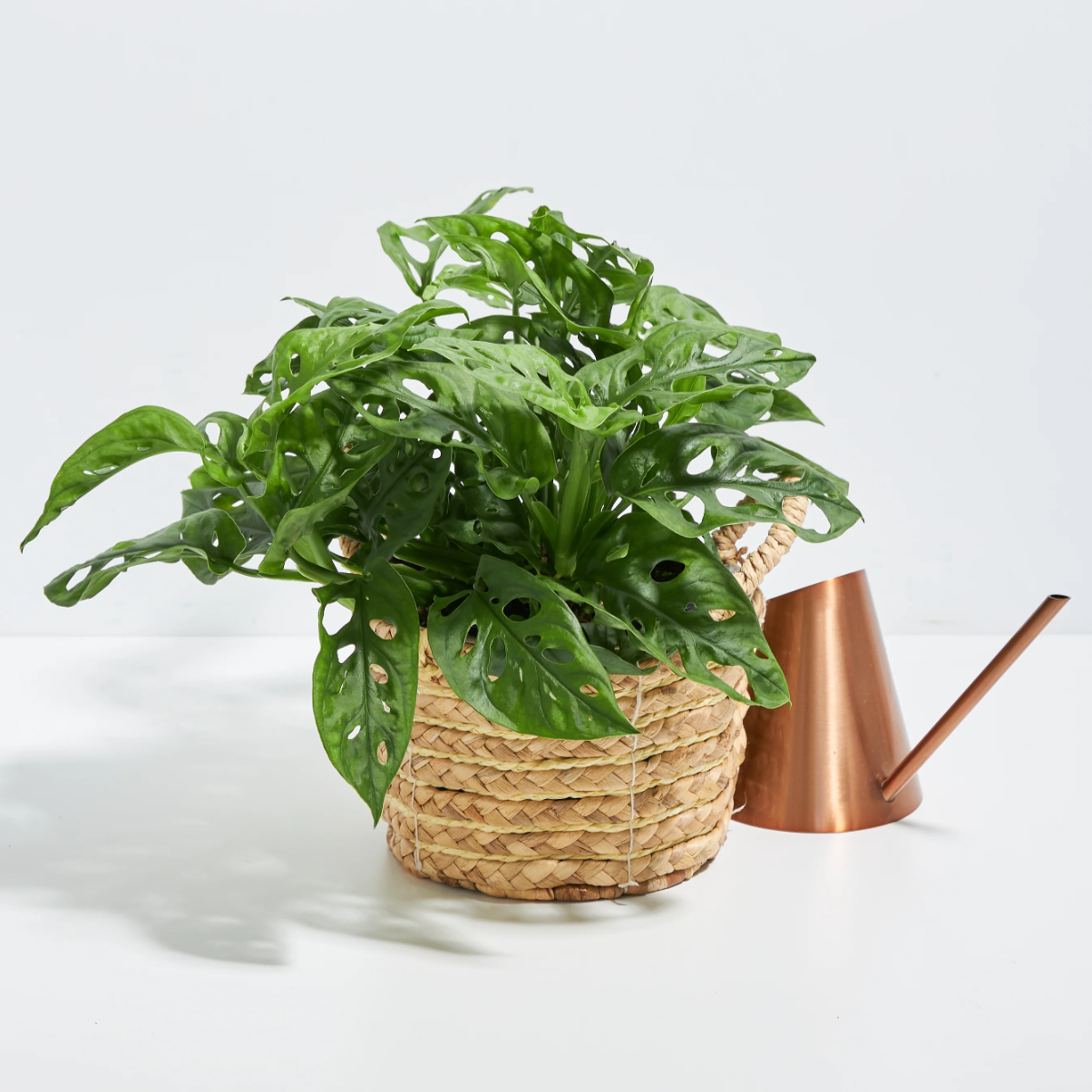 Shelf Decor: Green Home Accessories