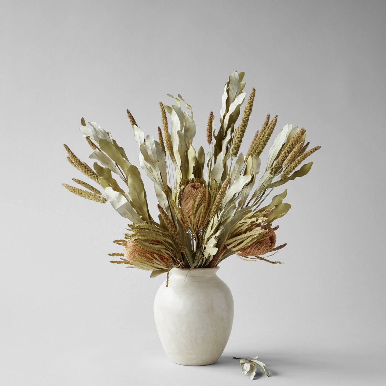Bloomist dried flowers and plants Dried Banksia Foliage