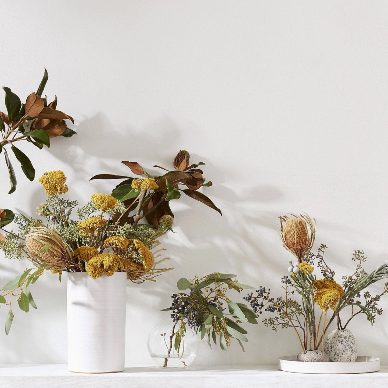 Bloomist dried flowers and plants Dried Natural Banksia - Set of 3