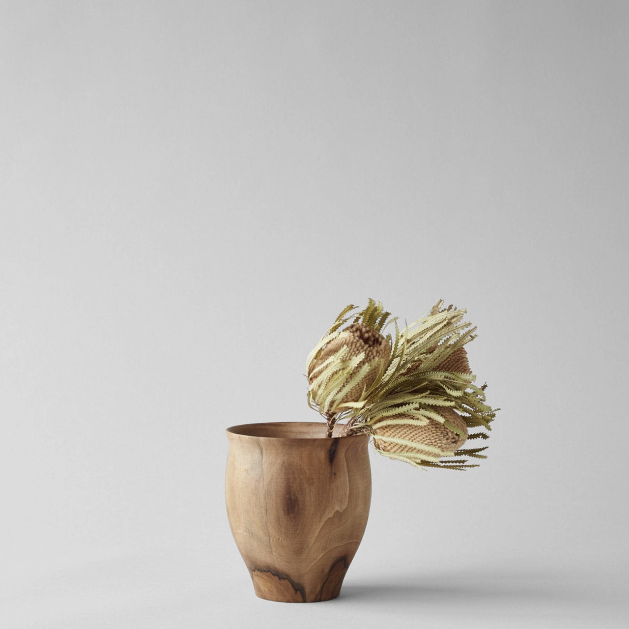Bloomist dried flowers and plants Dried Natural Banksia - Set of 3