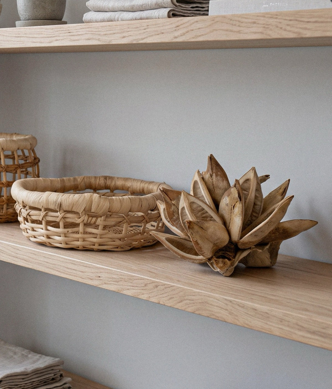 Bloomist Dried Flowers & Botanicals Dried Blonde Star Pod
