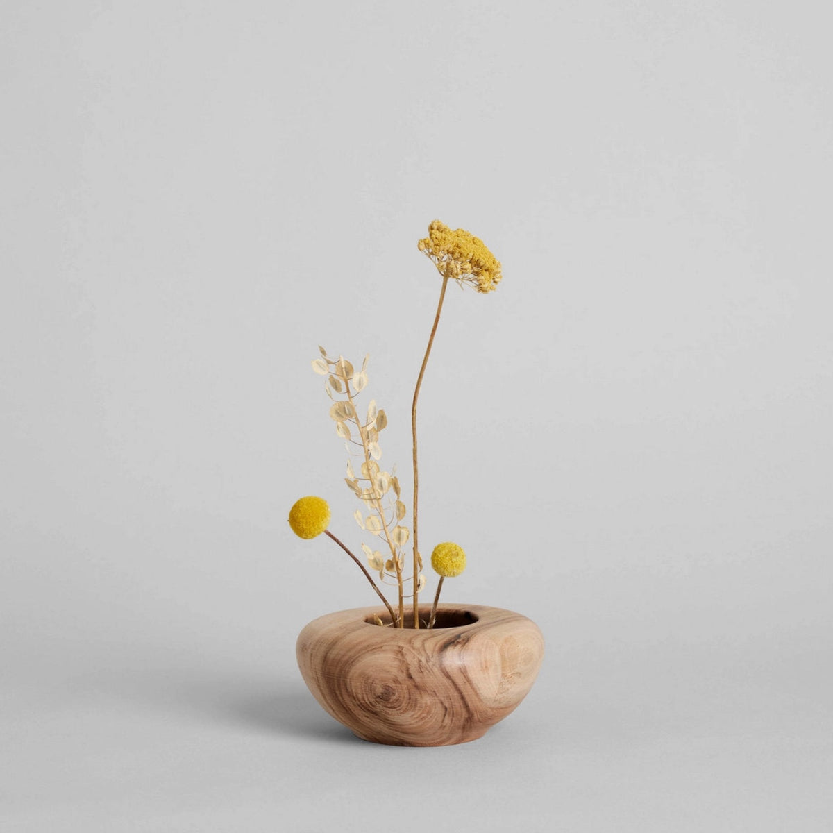 Bloomist Plants & Florals Dried Craspedia (Billy Buttons)