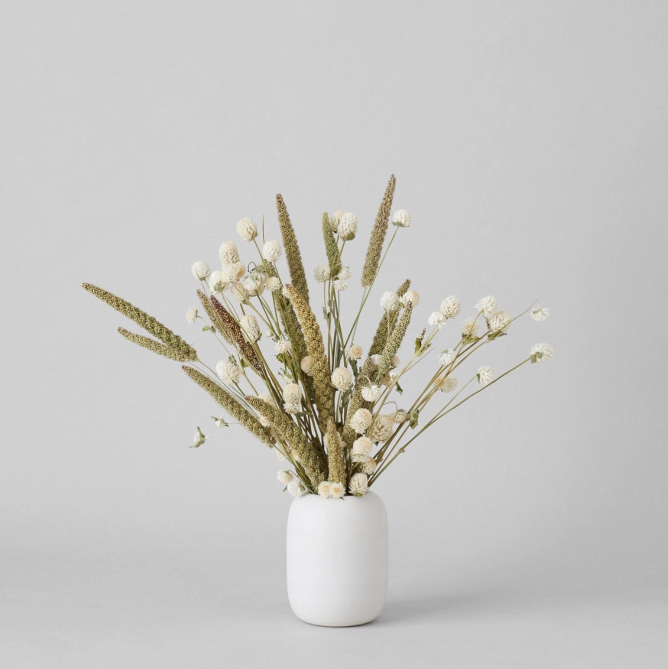 Bloomist Plants & Florals Dried Cream Globe Amaranth