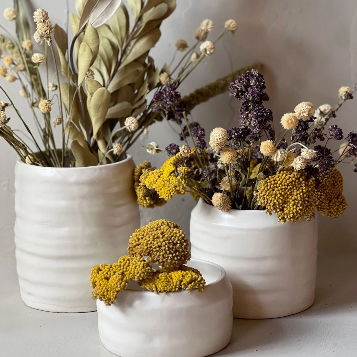 Bloomist Plants & Florals Dried Cream Globe Amaranth