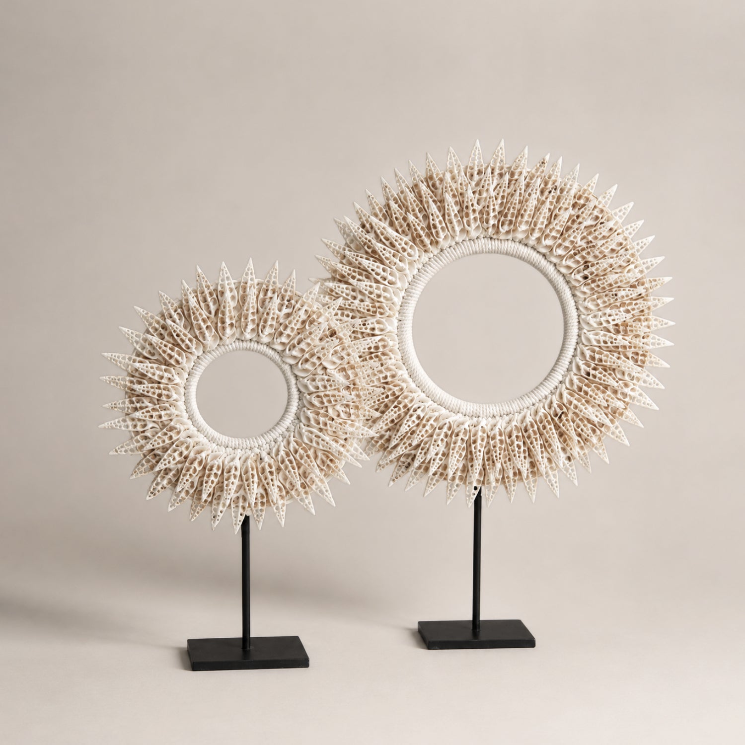 Jitana Decorative Objects Solaris Shell Sculpture