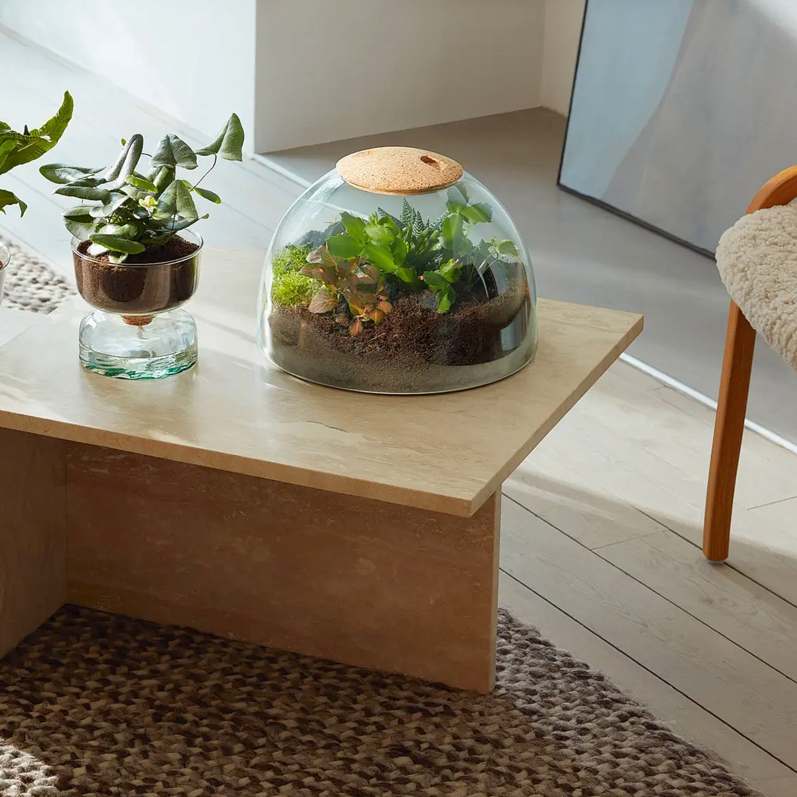 LSA International Planters Canopy Closed Garden