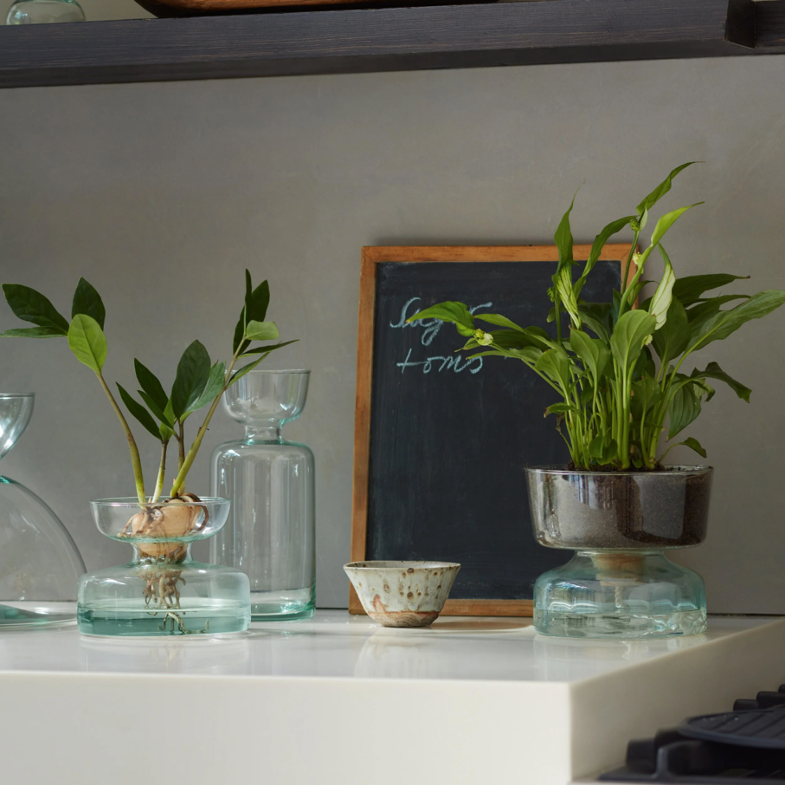 LSA International Planters Canopy Tall Bulb Vase