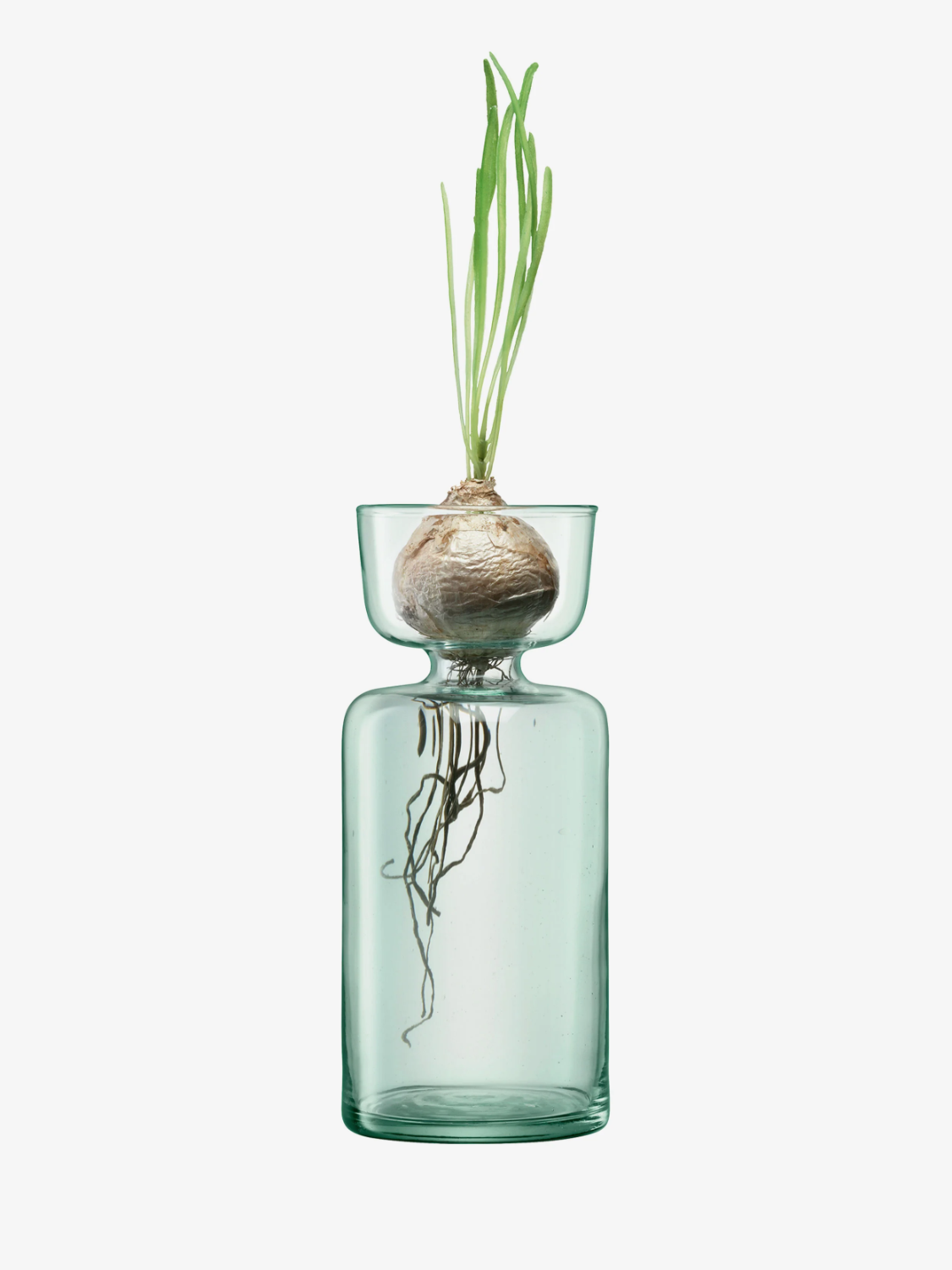 LSA International Planters Canopy Tall Bulb Vase
