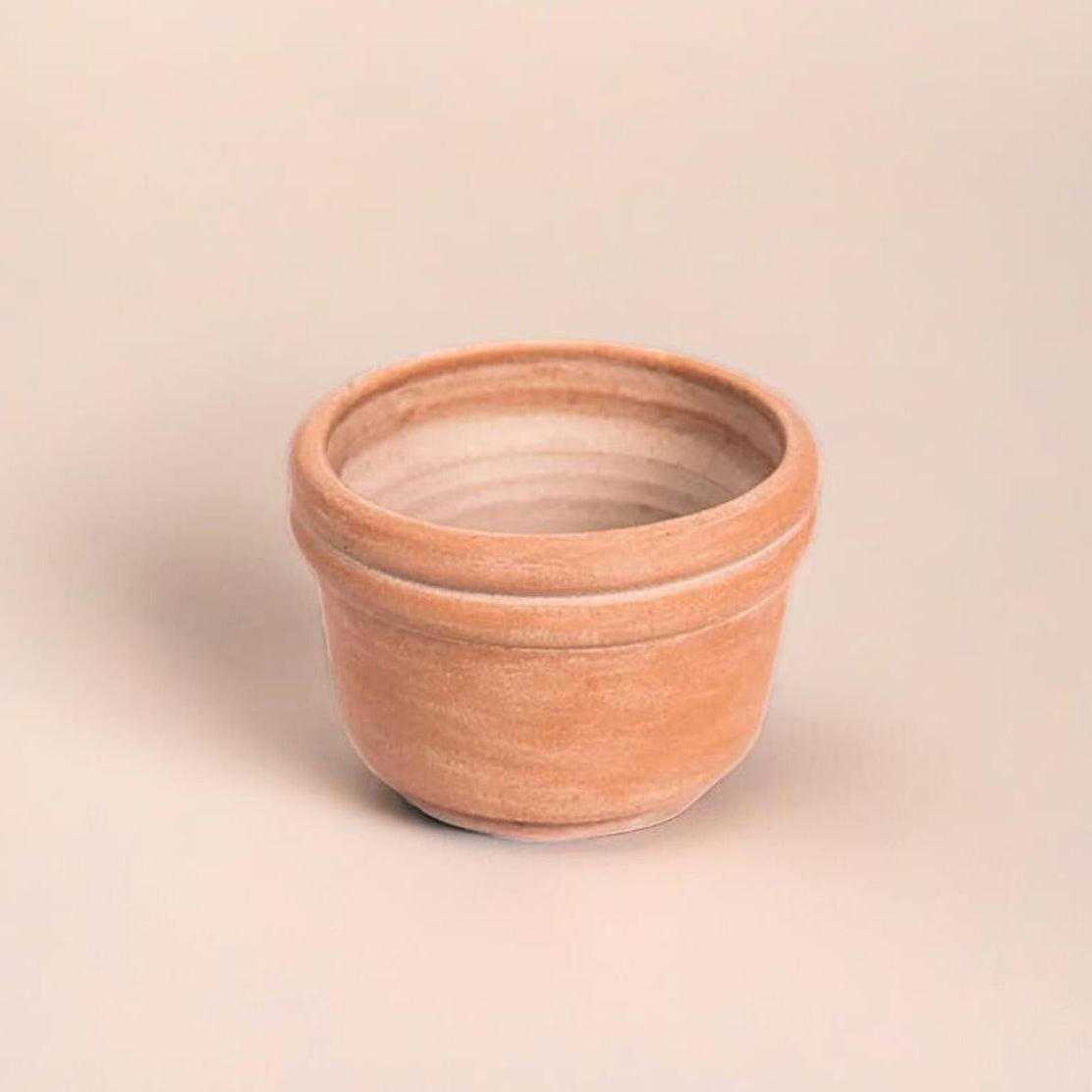 medium terracotta plant pots Felipe Medium Terracotta Planter