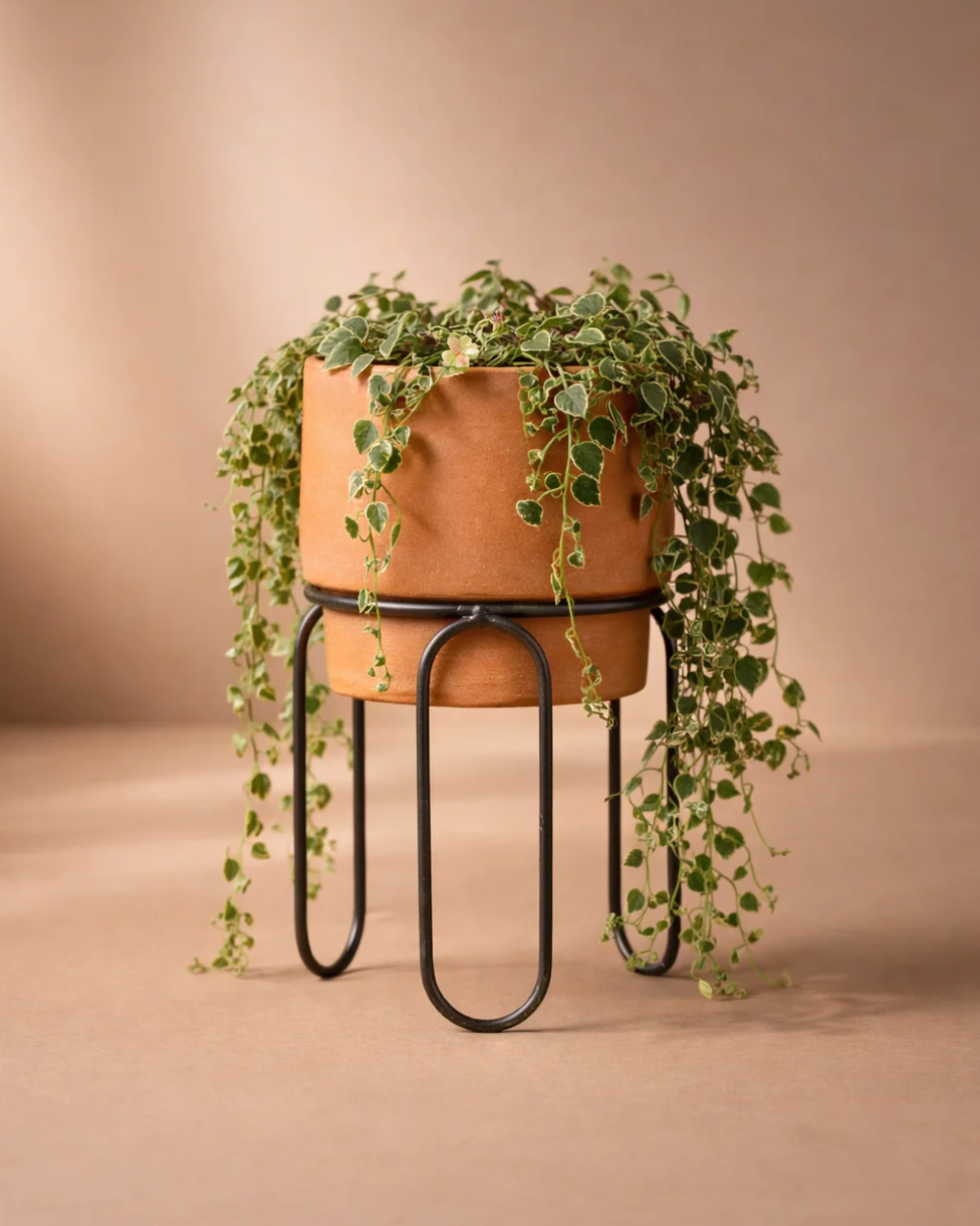 Meso Goods Planters Jaro Medium Terracotta Planter