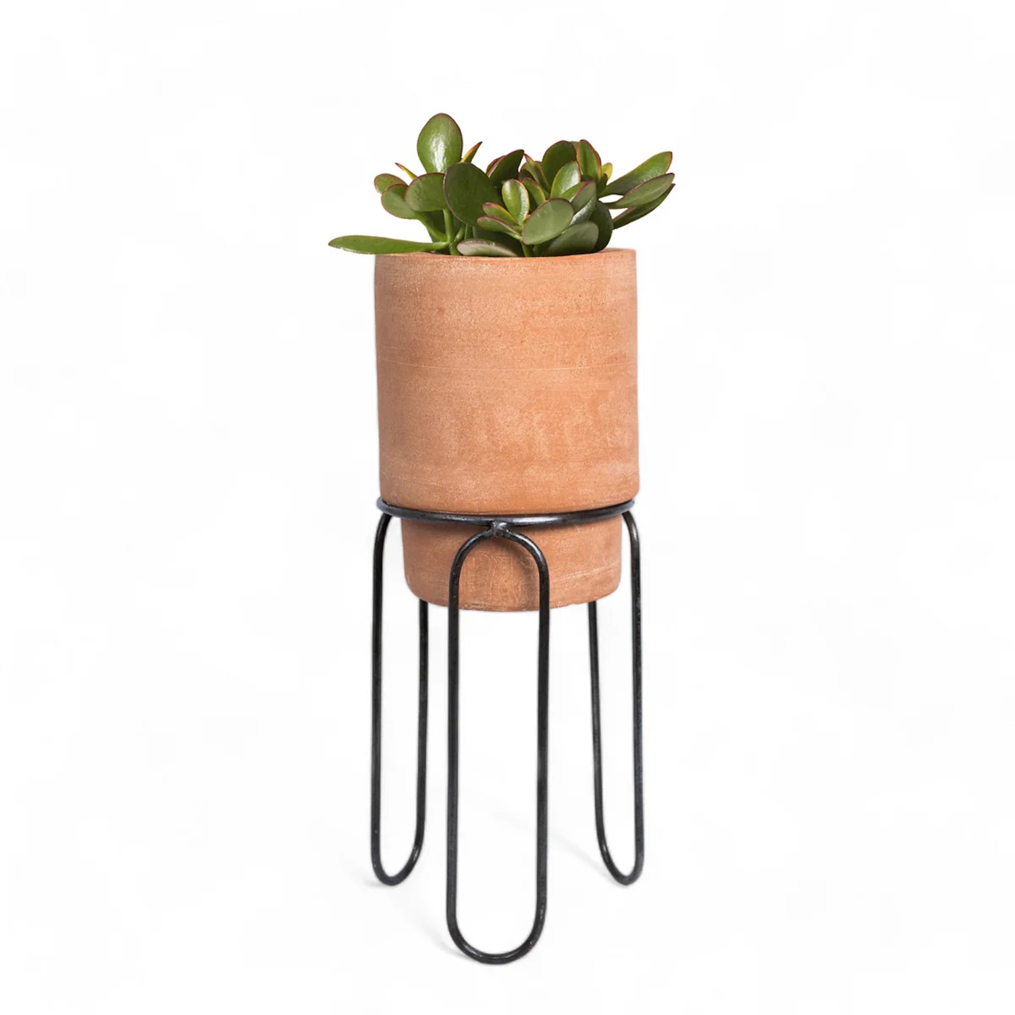 Meso Goods Planters Jaro Small Terracotta Planter with Iron Stand