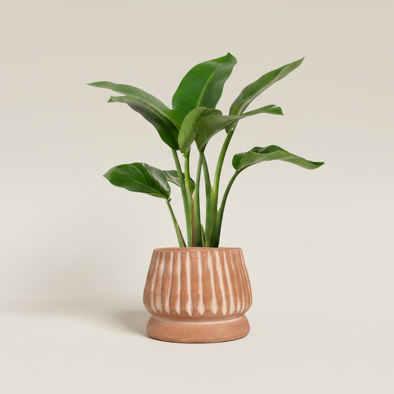 Powered by People Planters Mateo Planter