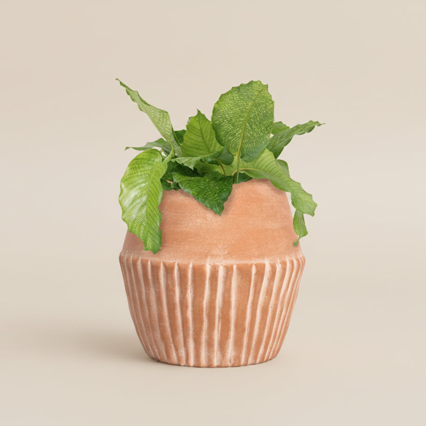 Powered by People Planters Valentina Planter