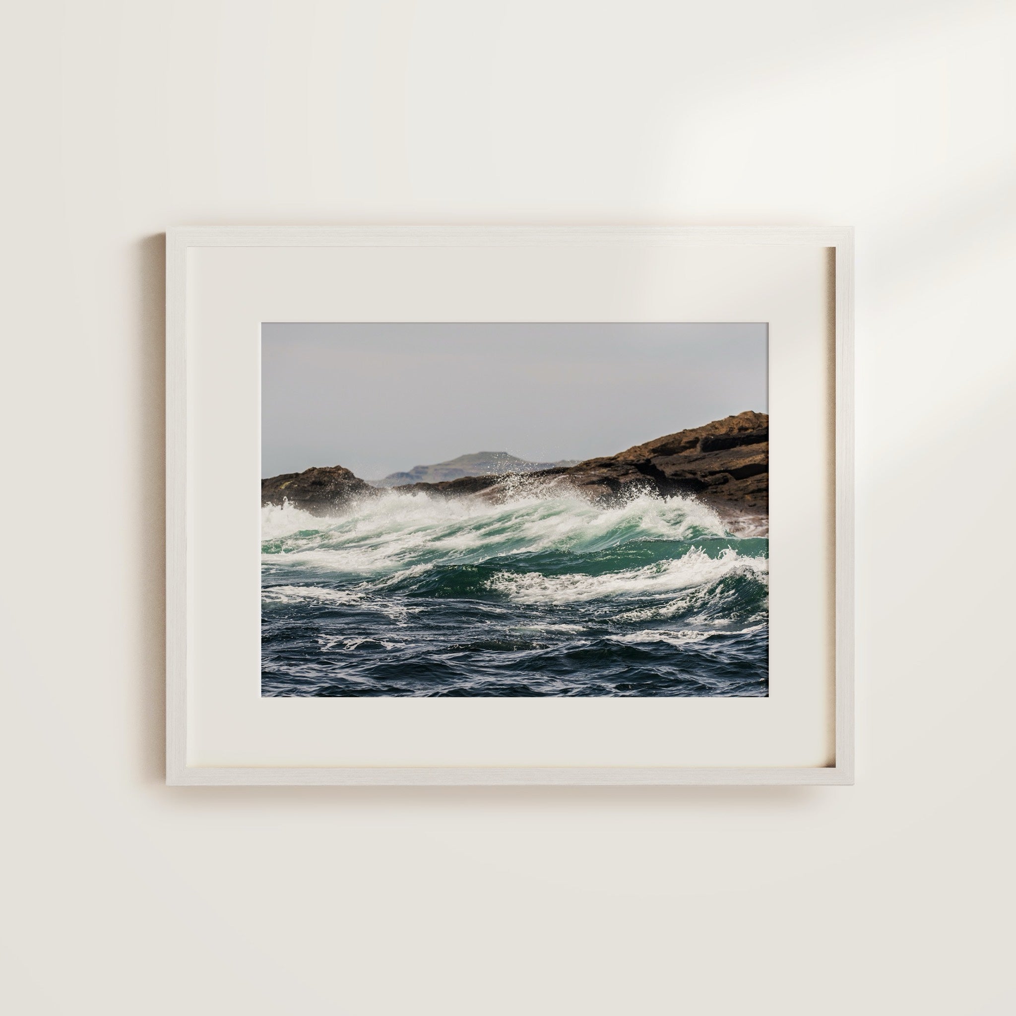 Shelf Love Collective free_gift Free 8x10 Art Print