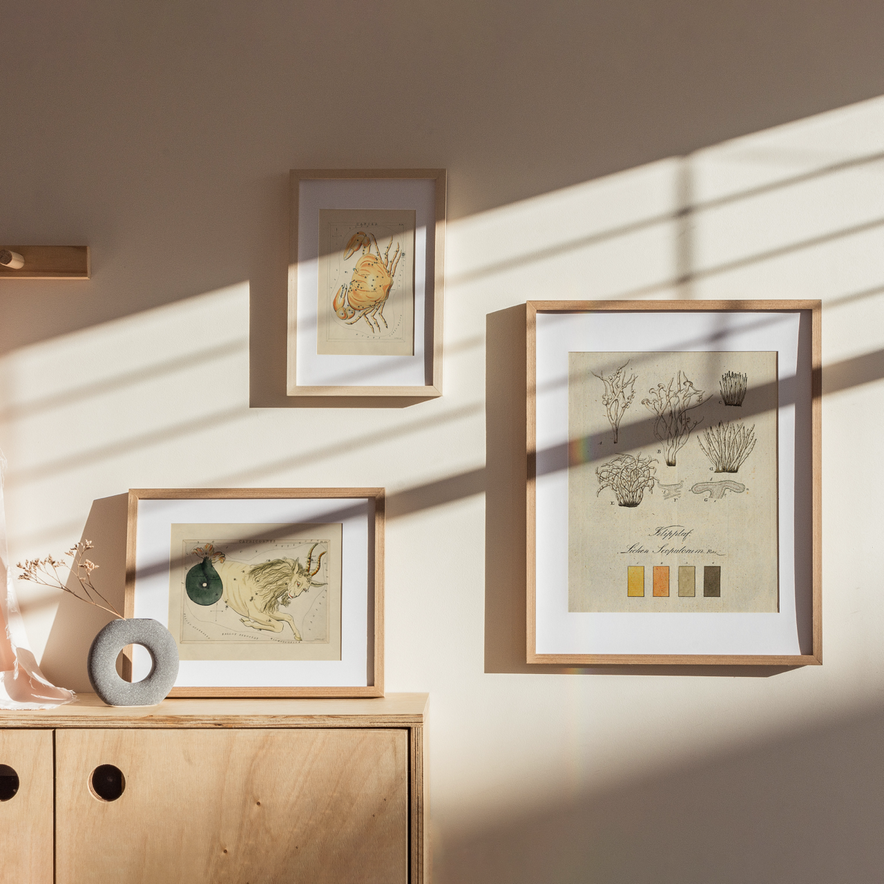 Shelf Love Collective graphic art print Colors in Nature 4 Art Print