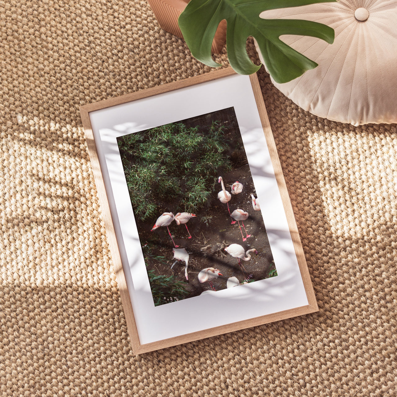 Shelf Love Print Shop photography art print Flamingos Art Print