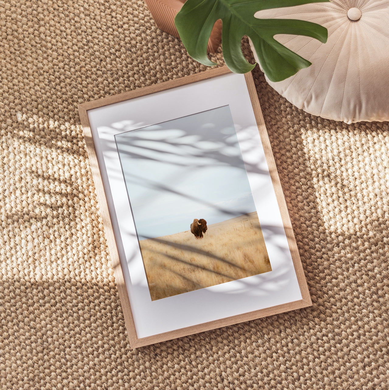 Shelf Love Print Shop photography art print Lone Buffalo Art Print