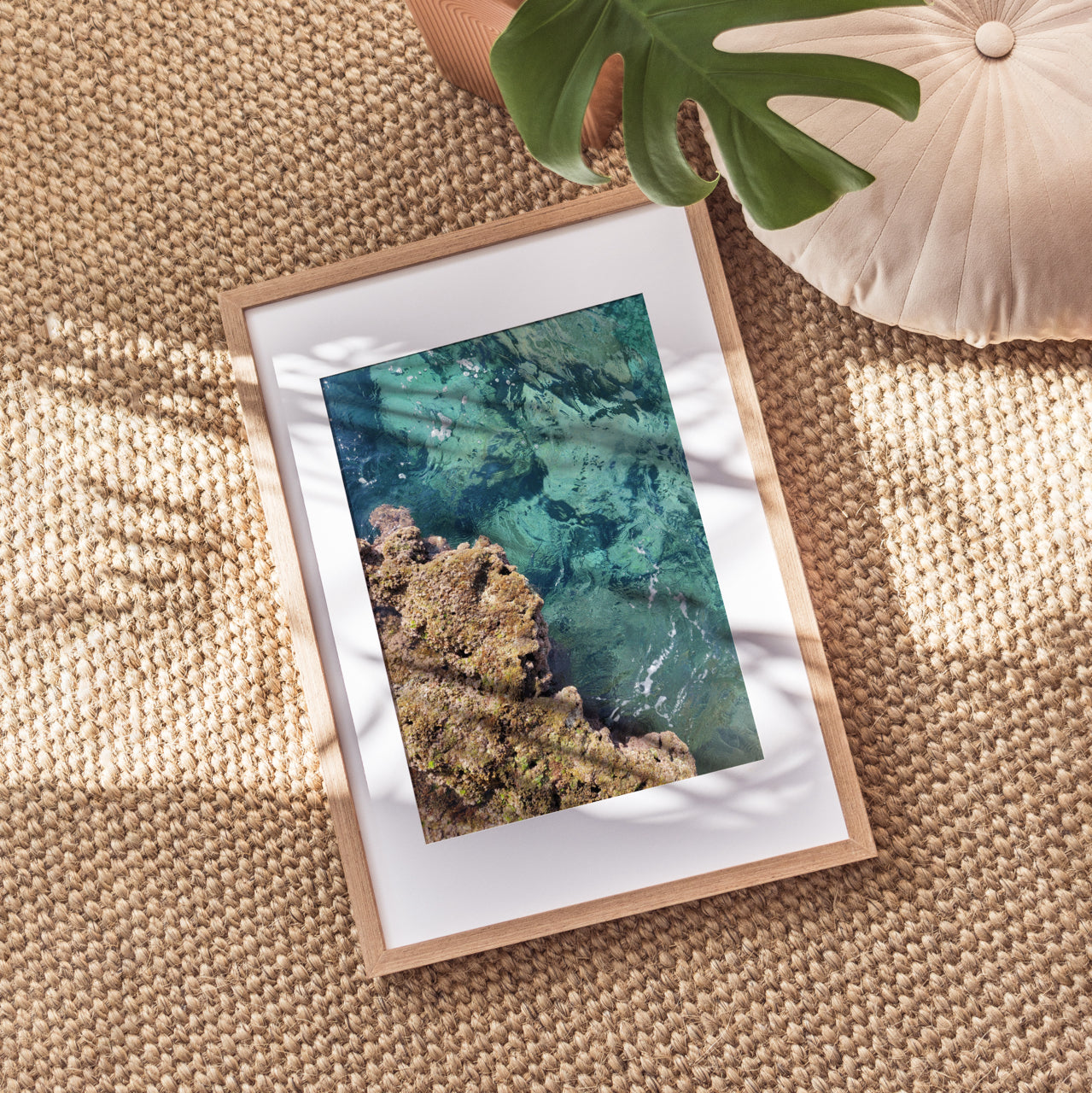 Shelf Love Print Shop photography art print Reef Art Print