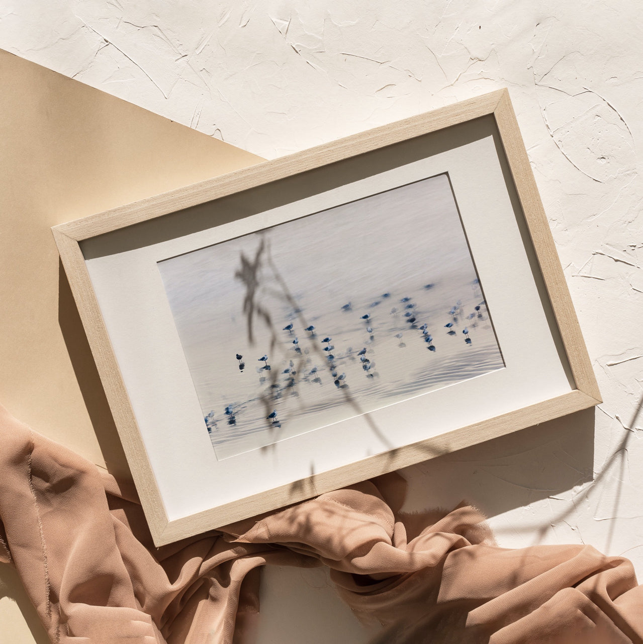 Shelf Love Print Shop photography art print Shore Birds Art Print