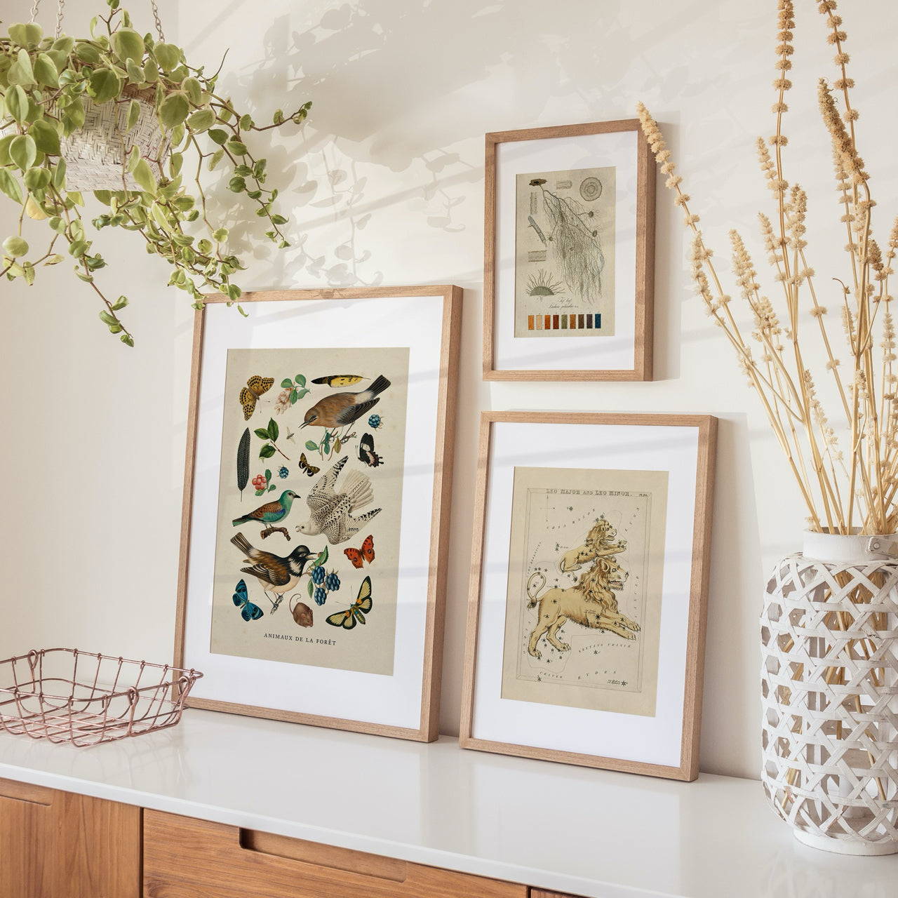 Shelf Love Print Shop vintage art print Birds and Insects Art Print