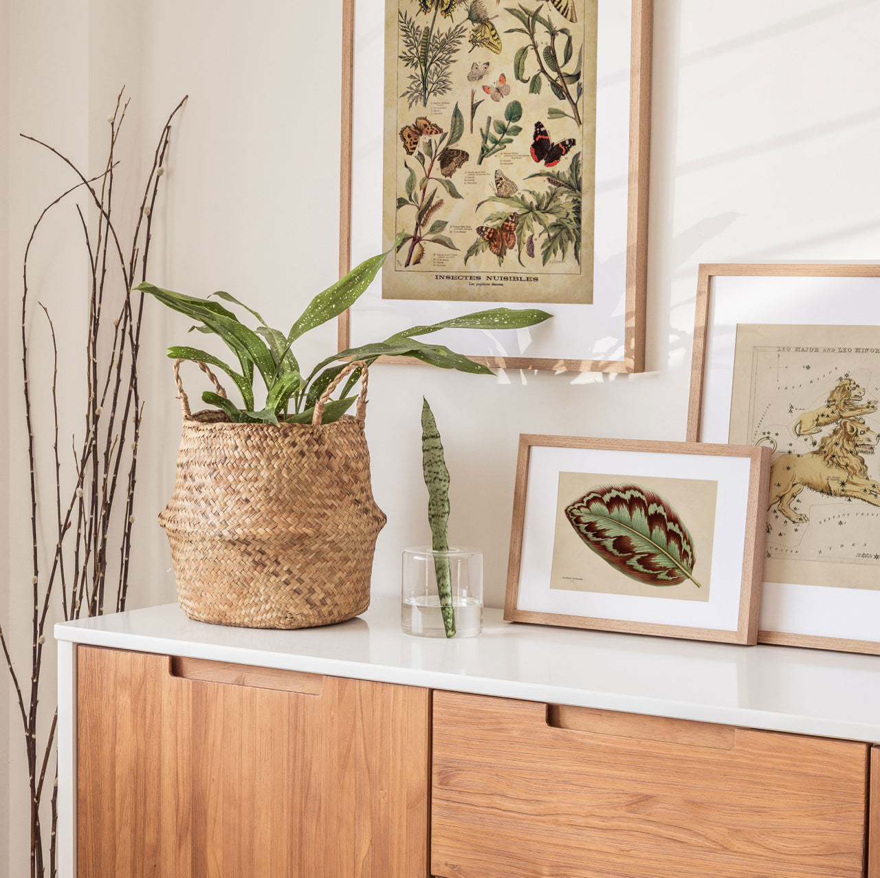 Shelf Love Print Shop vintage art print Calathea Leaf Art Print