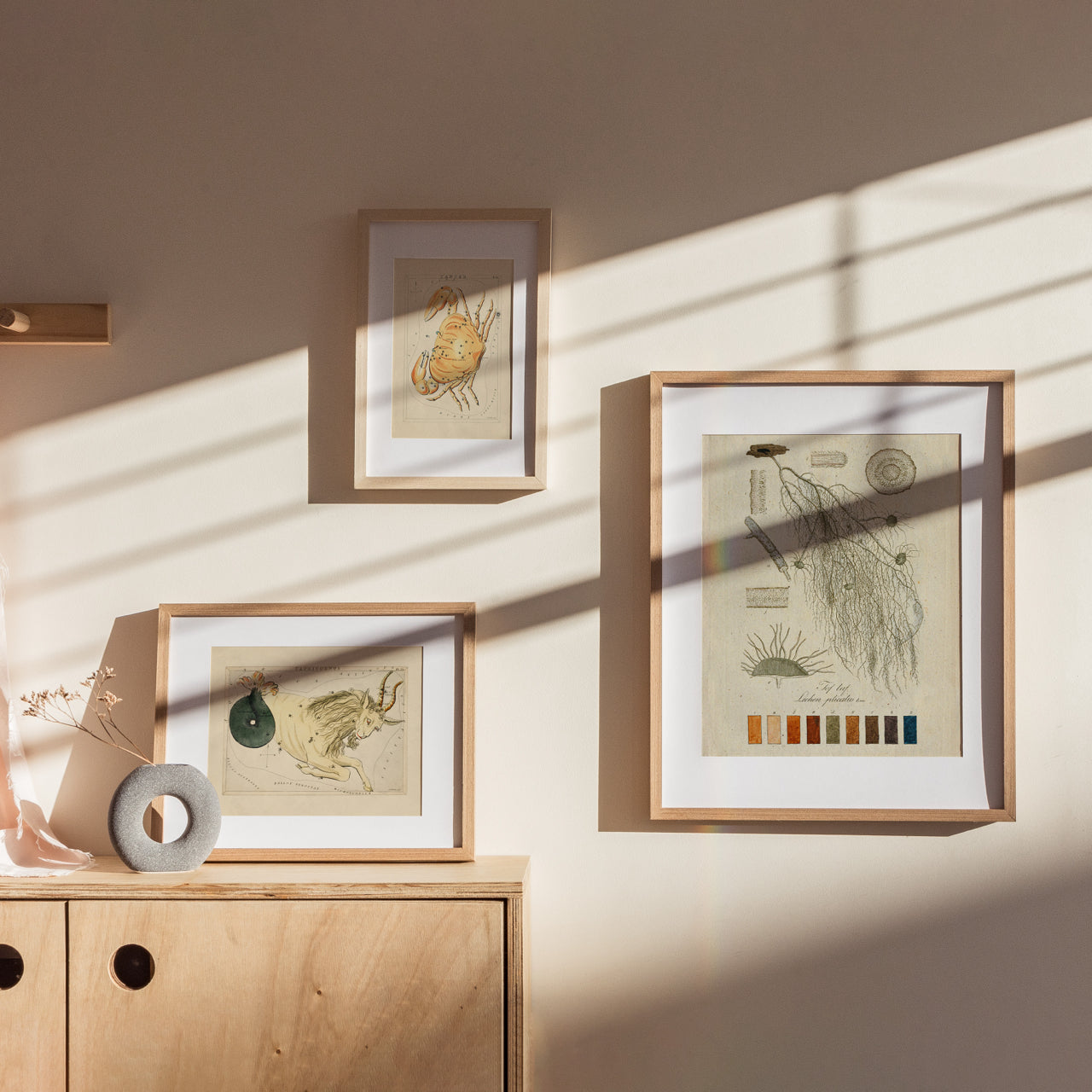 Shelf Love Print Shop vintage art print Capricorn Art Print