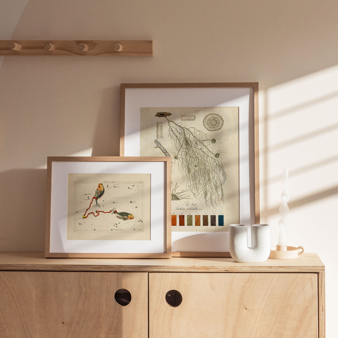 Shelf Love Print Shop vintage art print Colors in Nature 3 Art Print