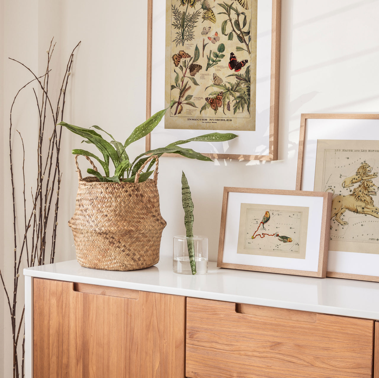 Shelf Love Print Shop vintage art print Leo Art Print