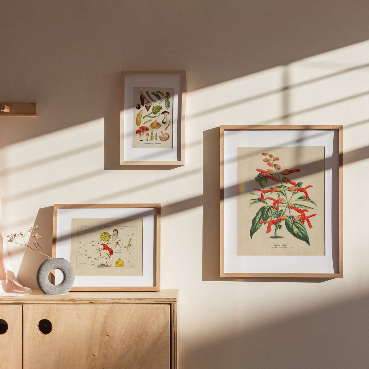 Shelf Love Print Shop vintage art print Scarlet Sage Art Print