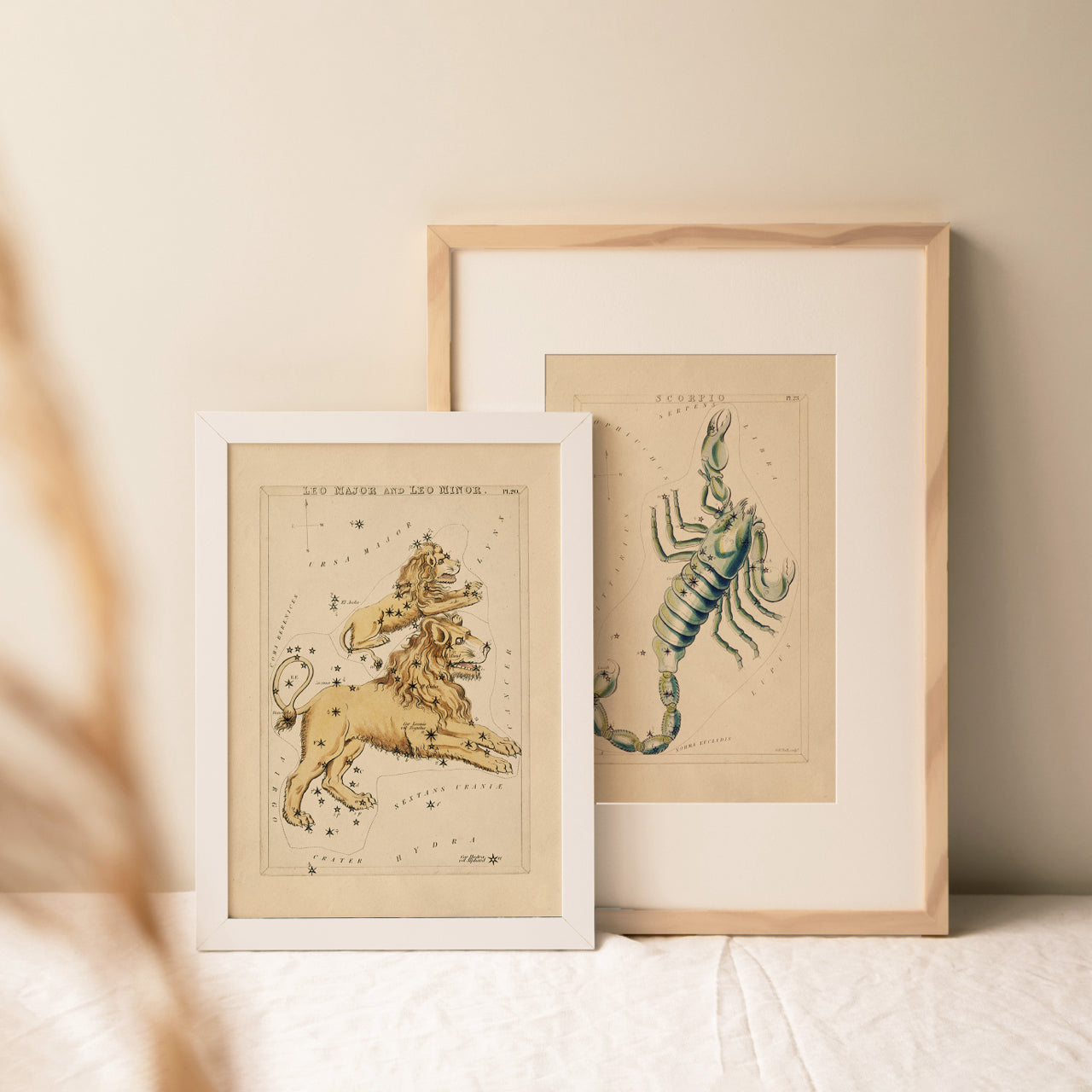 Shelf Love Print Shop vintage art print Scorpio Art Print