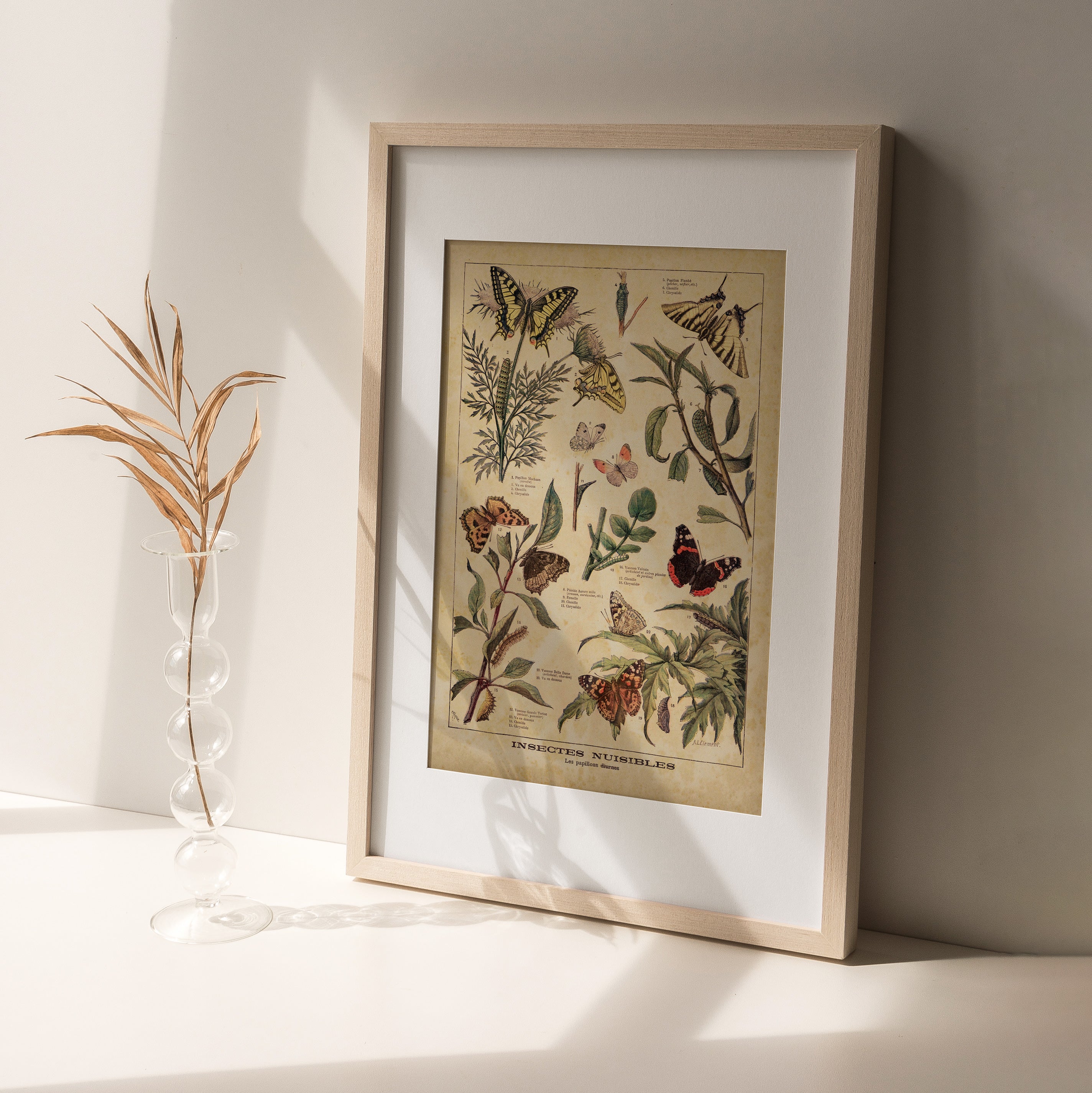 Shelf Love Print Shop vintage art print Vintage Butterflies Art Print