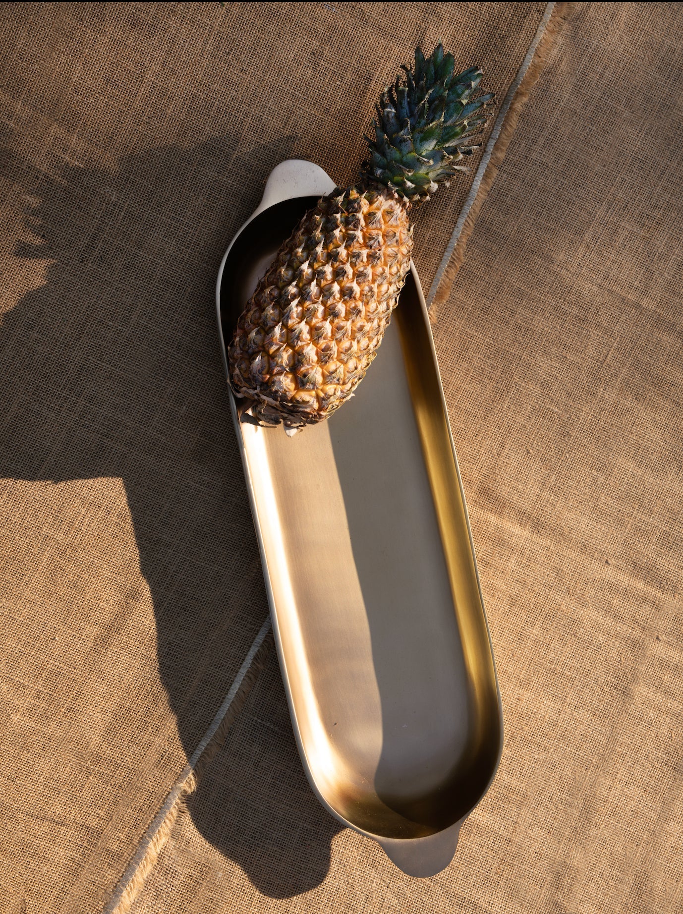 The Collective Home Antique Brass Long Trays Set of 2