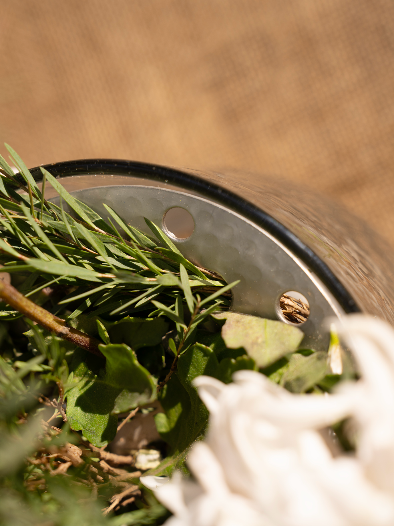 The Collective Home Floral Flower Frog Low