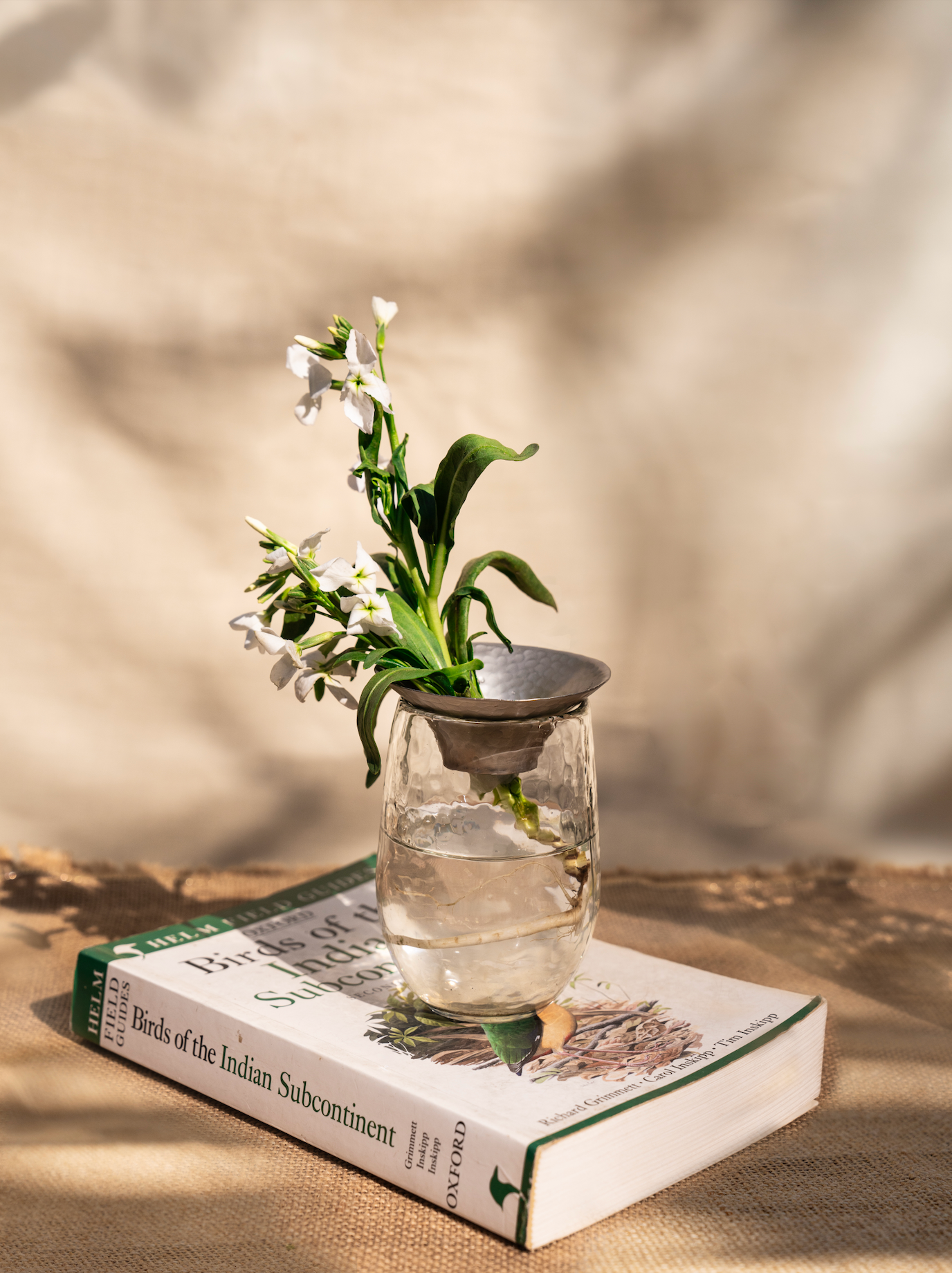 The Collective Home Floral Propogate Assorted - Set of 3