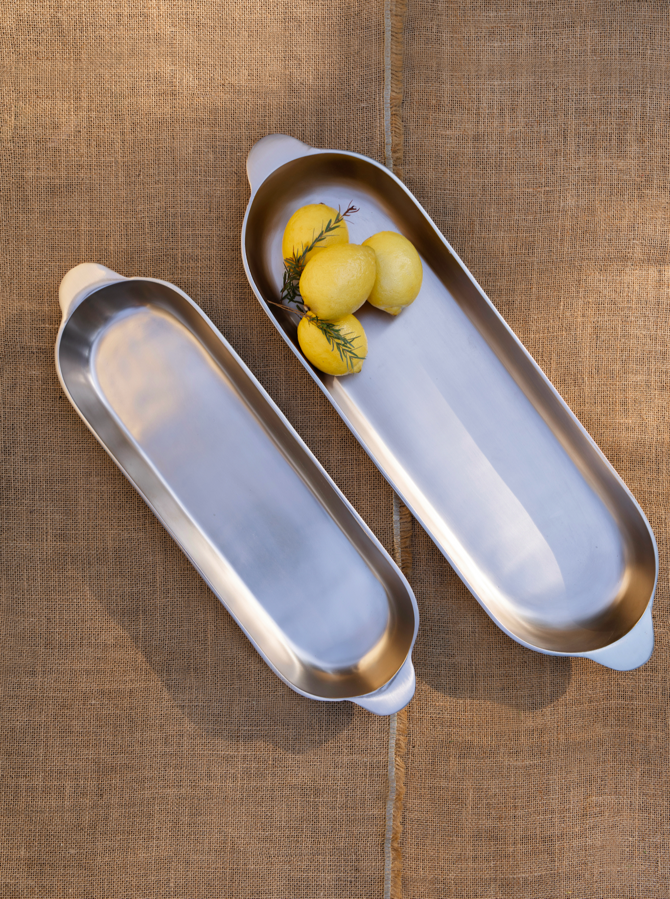 The Collective Home Nickel Long Trays Set of 2