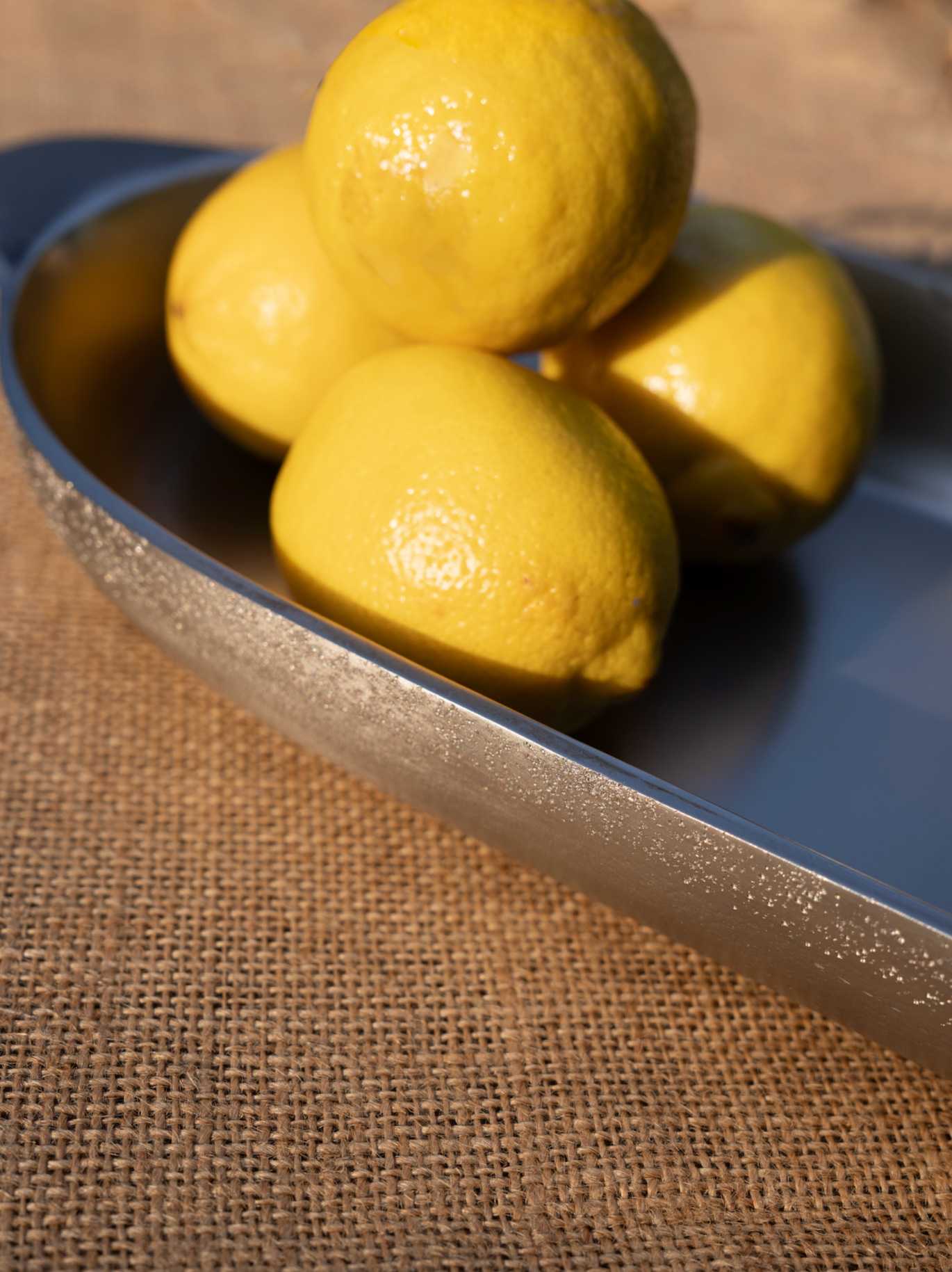 The Collective Home Nickel Long Trays Set of 2