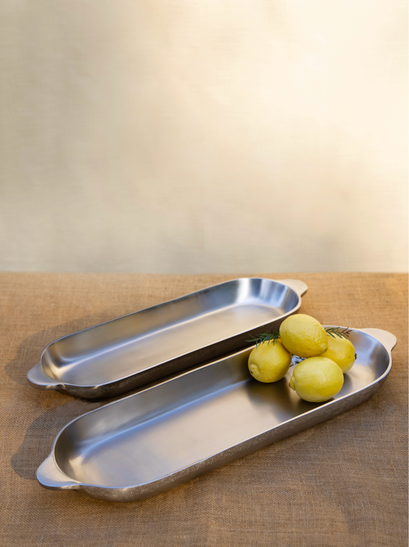 The Collective Home Nickel Long Trays Set of 2