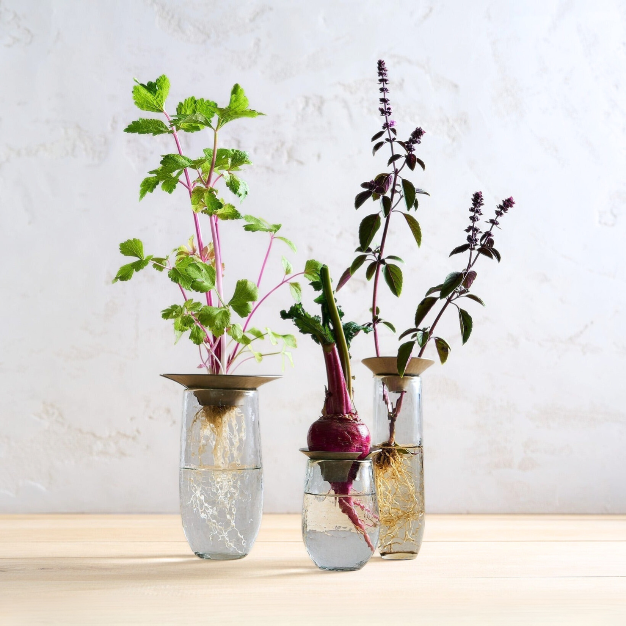 The Collective Home vase Floral Propagation Vases Set of 3