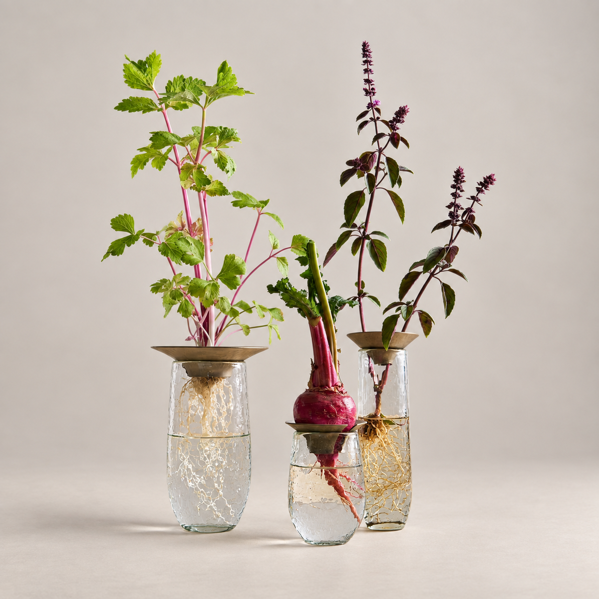 The Collective Home Vases Floral Propagation Vases - Set of 3