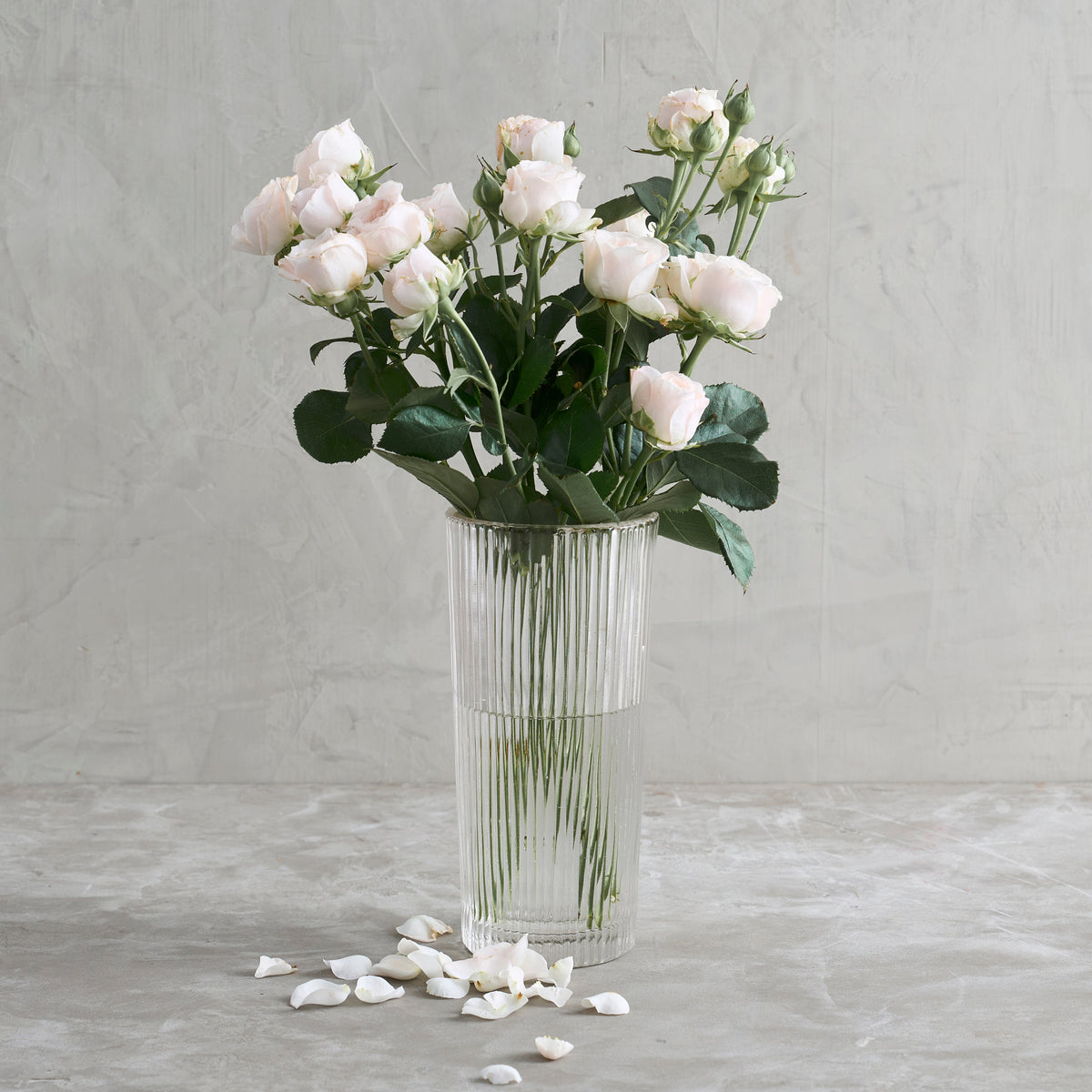 The Collective Home Vases Pressed Clear Glass Column Vase