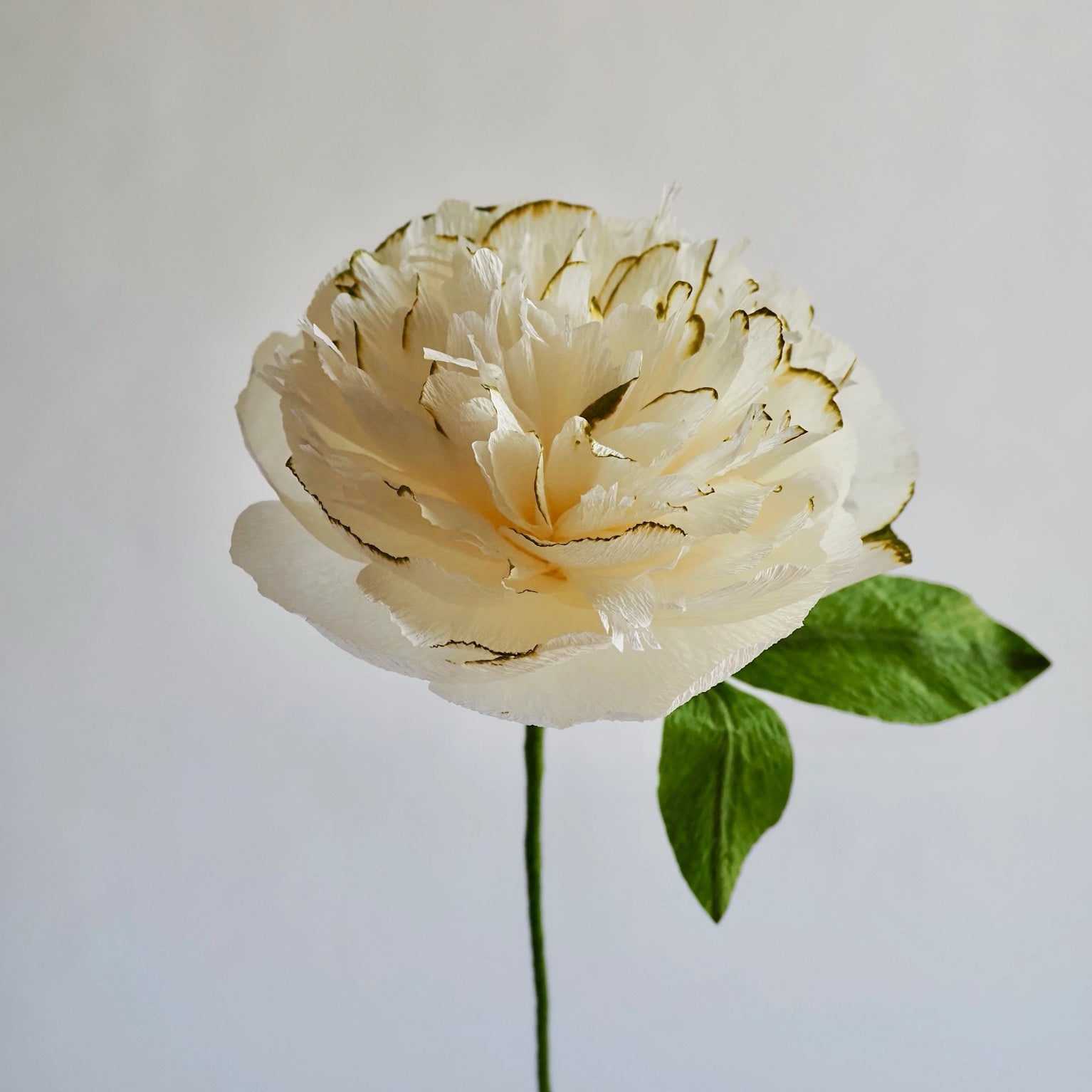 Unwilted faux flower White and Green Garden Peony