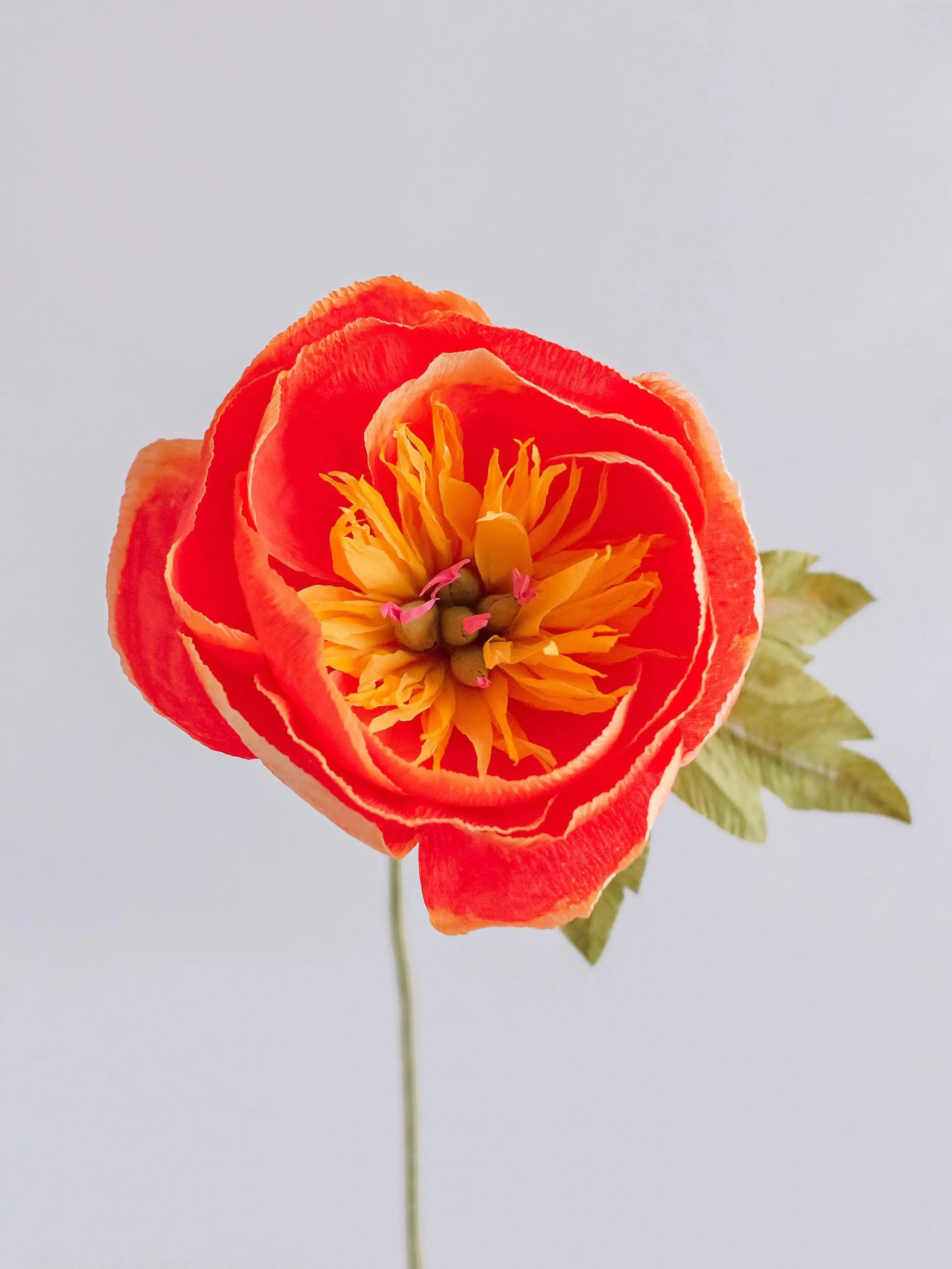 unwilted Paper Bloom Coral Bowl Peony Single Stem | Handcrafted Paper Flower