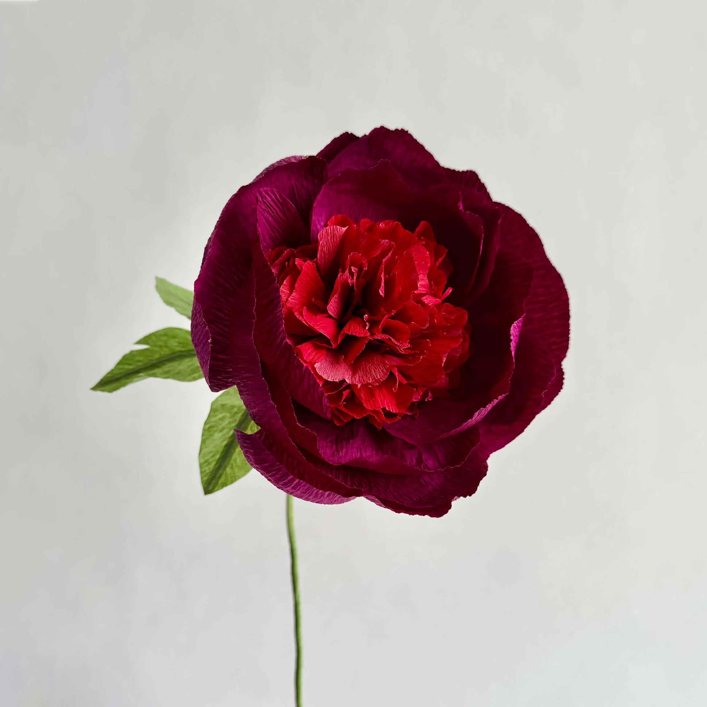 unwilted Paper Bloom Fluffy Peony