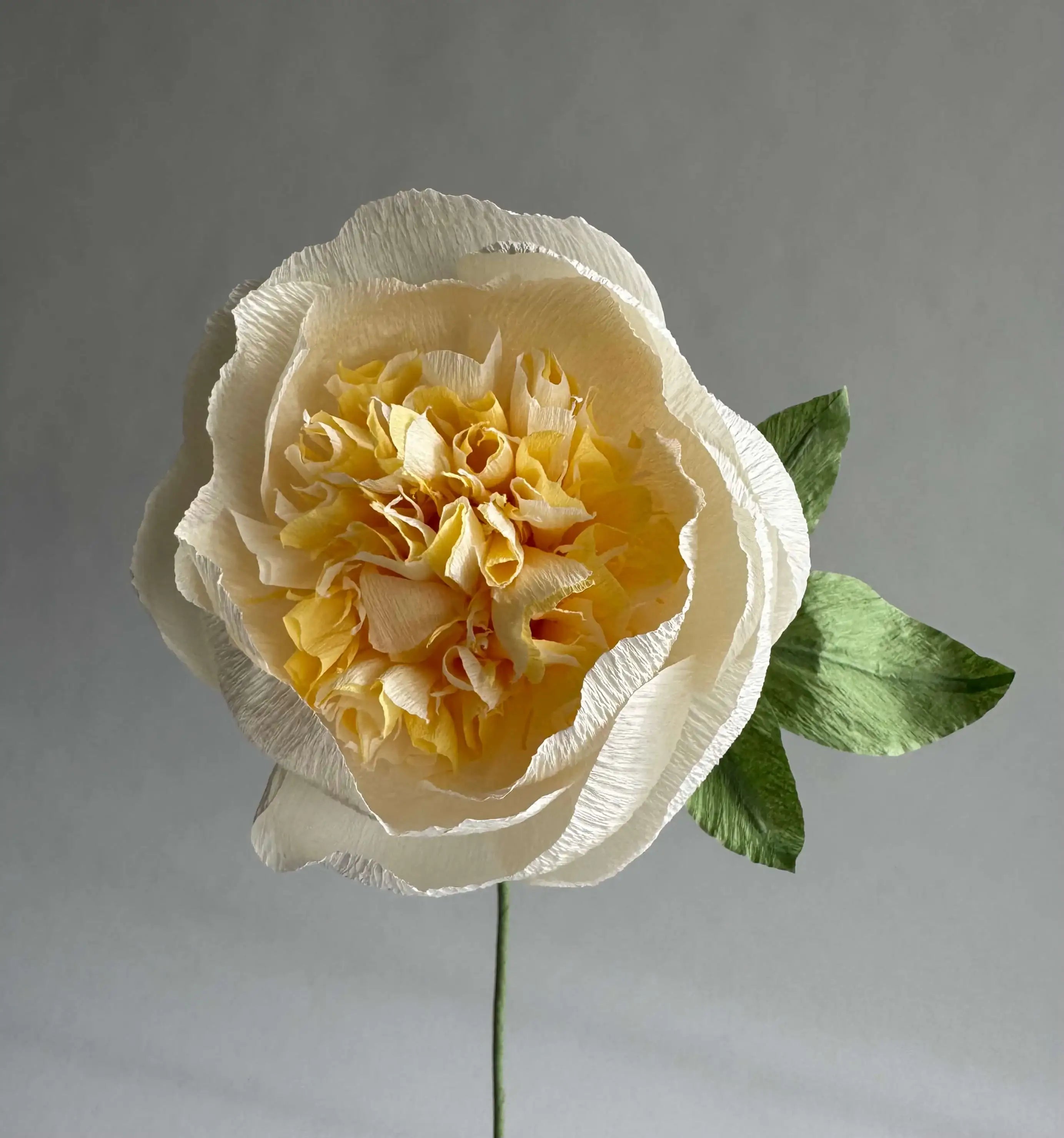 unwilted Paper Bloom Ivory & Cream Fluffy Peony