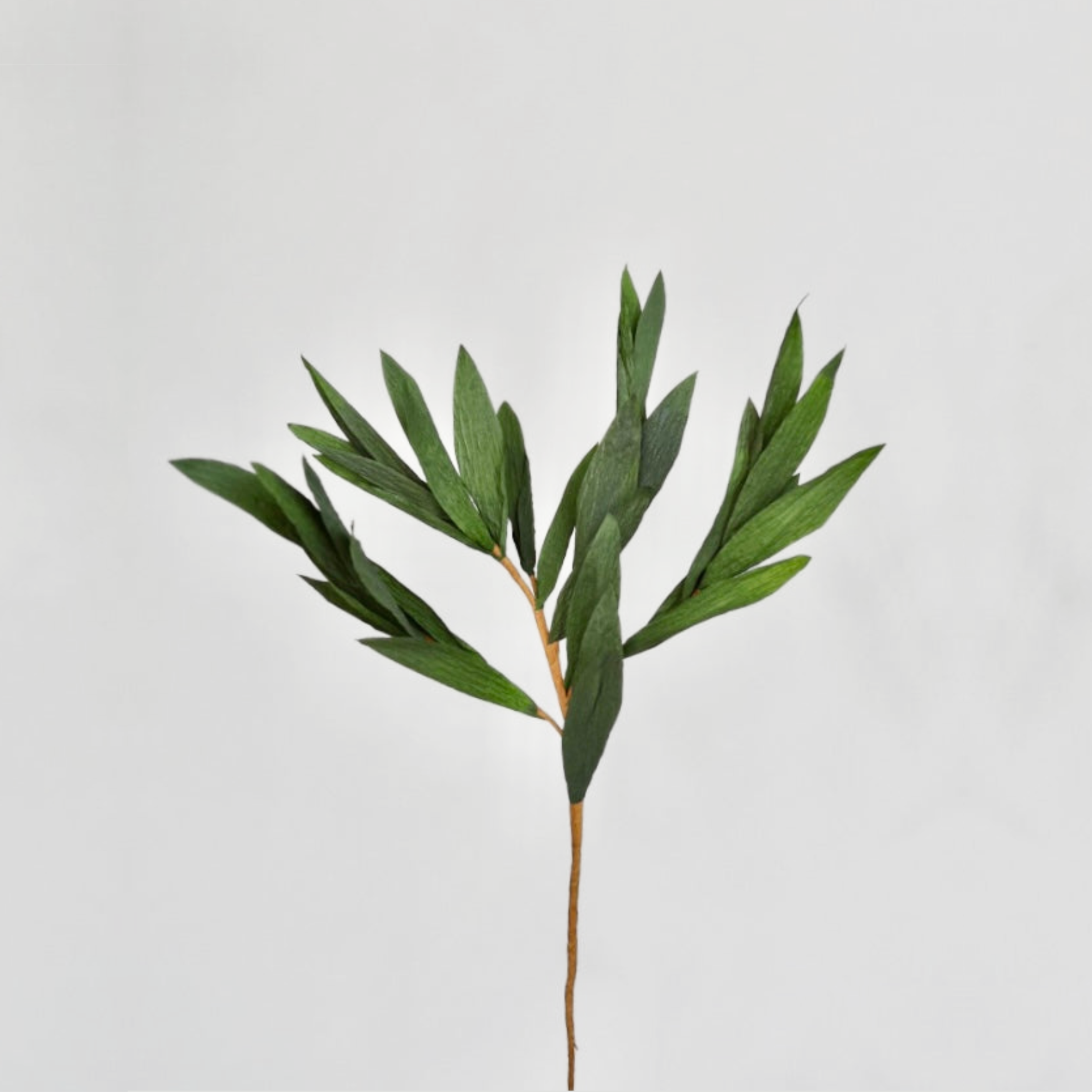 unwilted Paper Bloom Lemon Leaf Greenery Single Stem