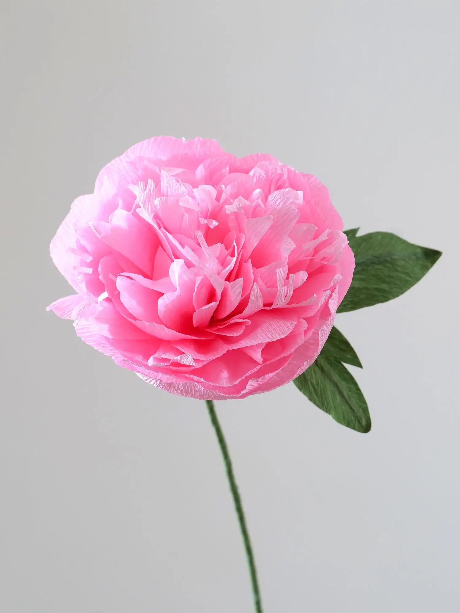 unwilted Paper Bloom Light Pink Garden Peony Single Stem | Handcrafted Paper Flower