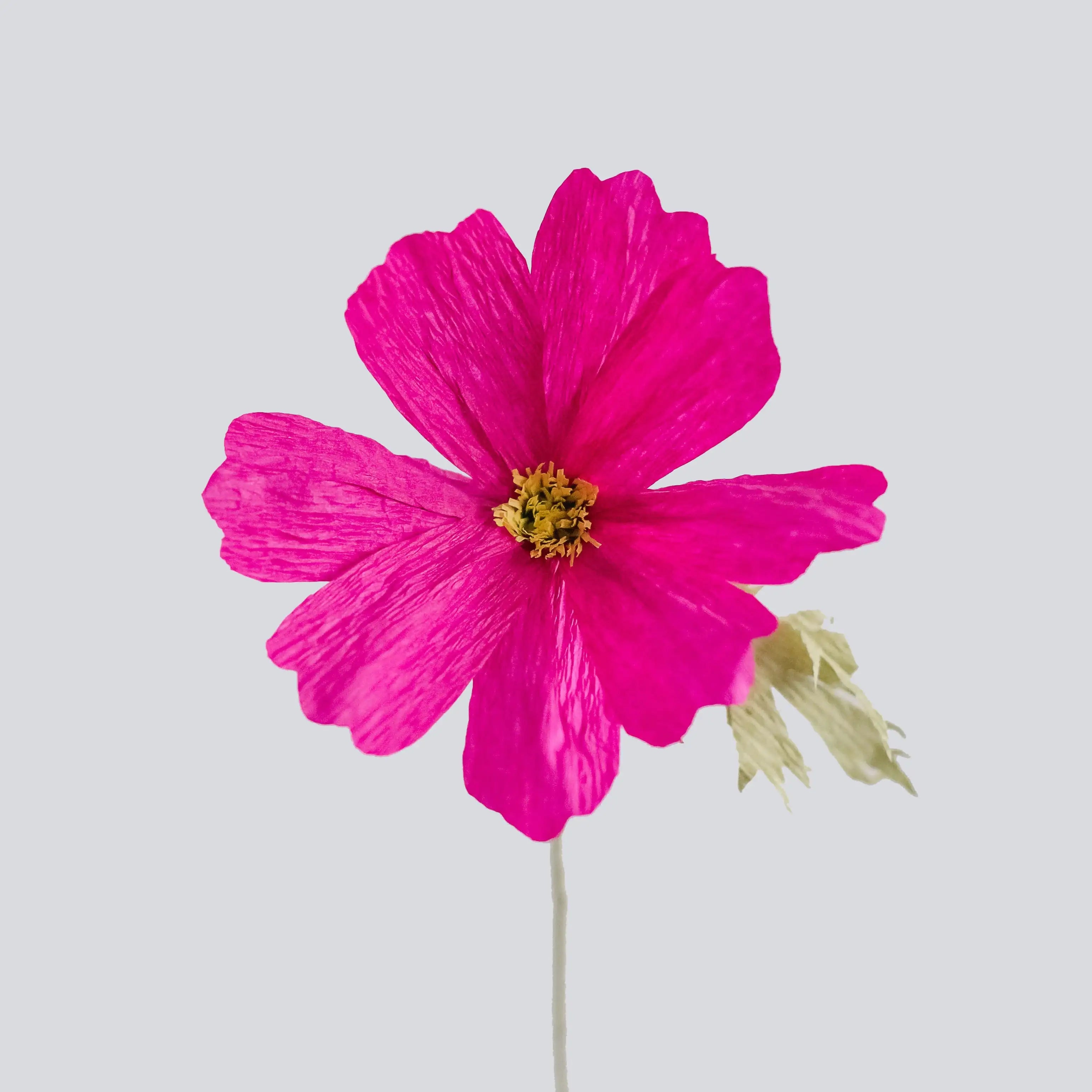 unwilted Paper Bloom Magenta Cosmos Single Stem | Handcrafted Paper Wildflower