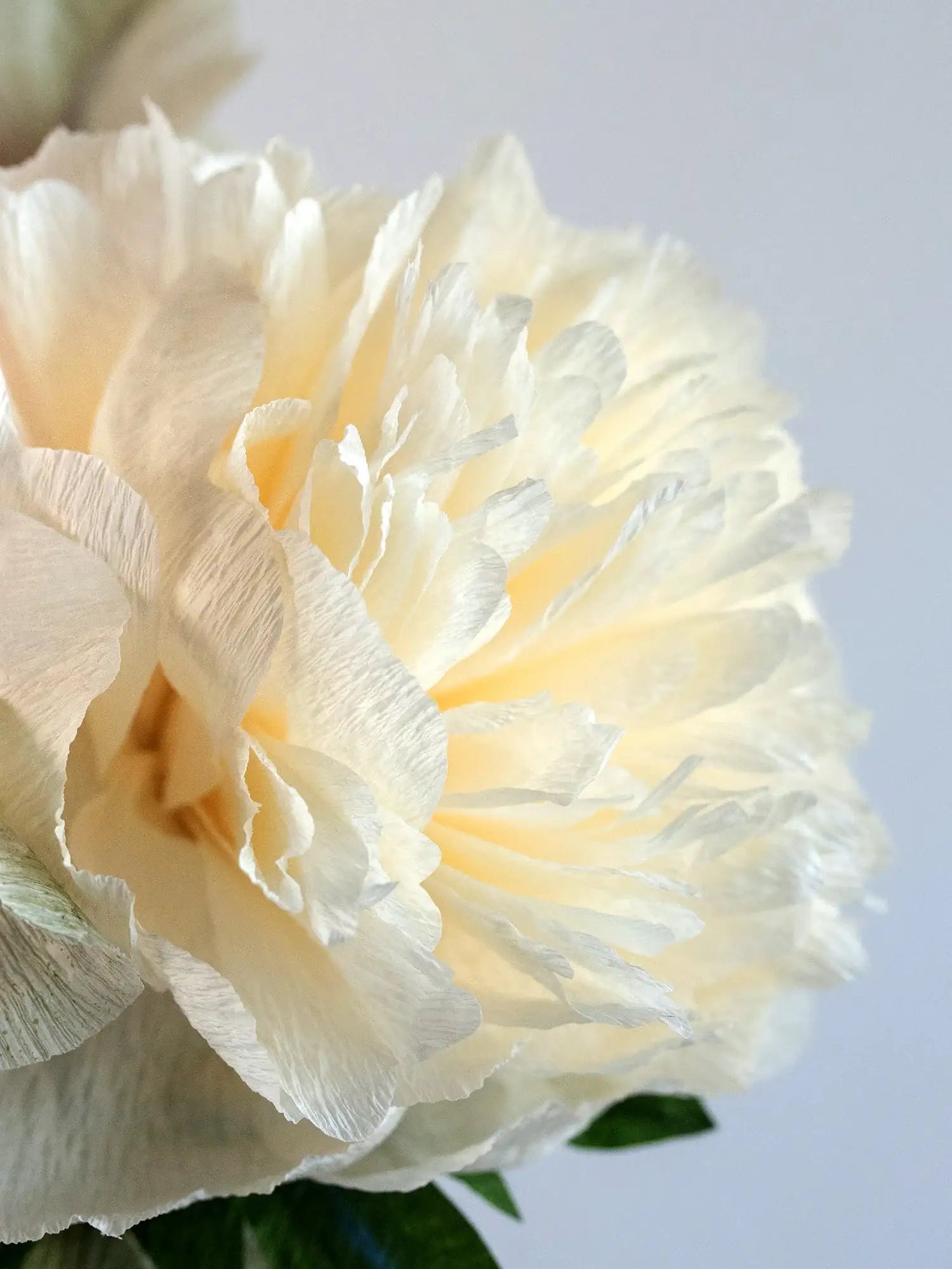 unwilted Paper Flowers Peony for Your Thoughts | Handcrafted Paper Peony Bouquet
