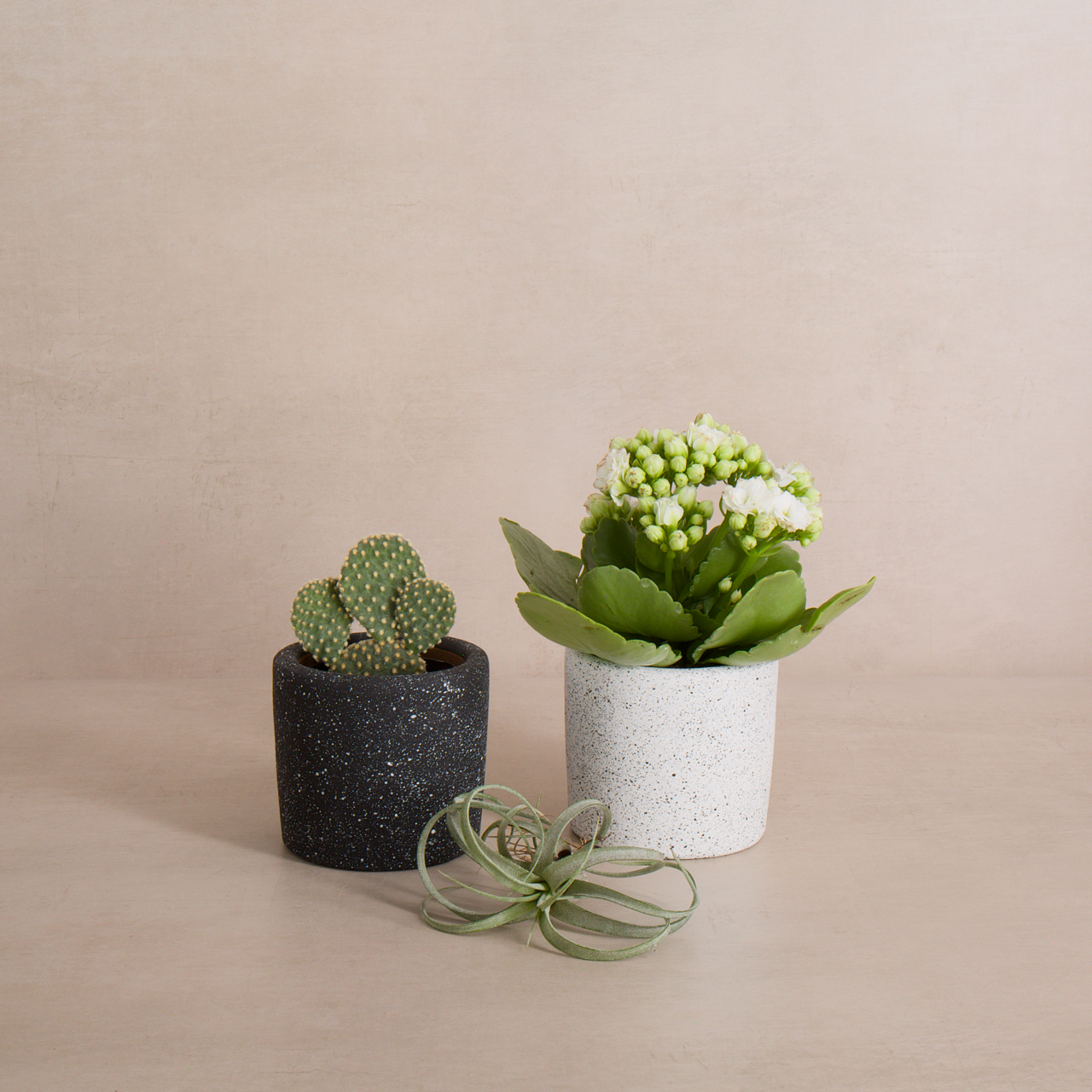 Women of the Cloud Forest planter Small Black Speckled Ceramic Planter
